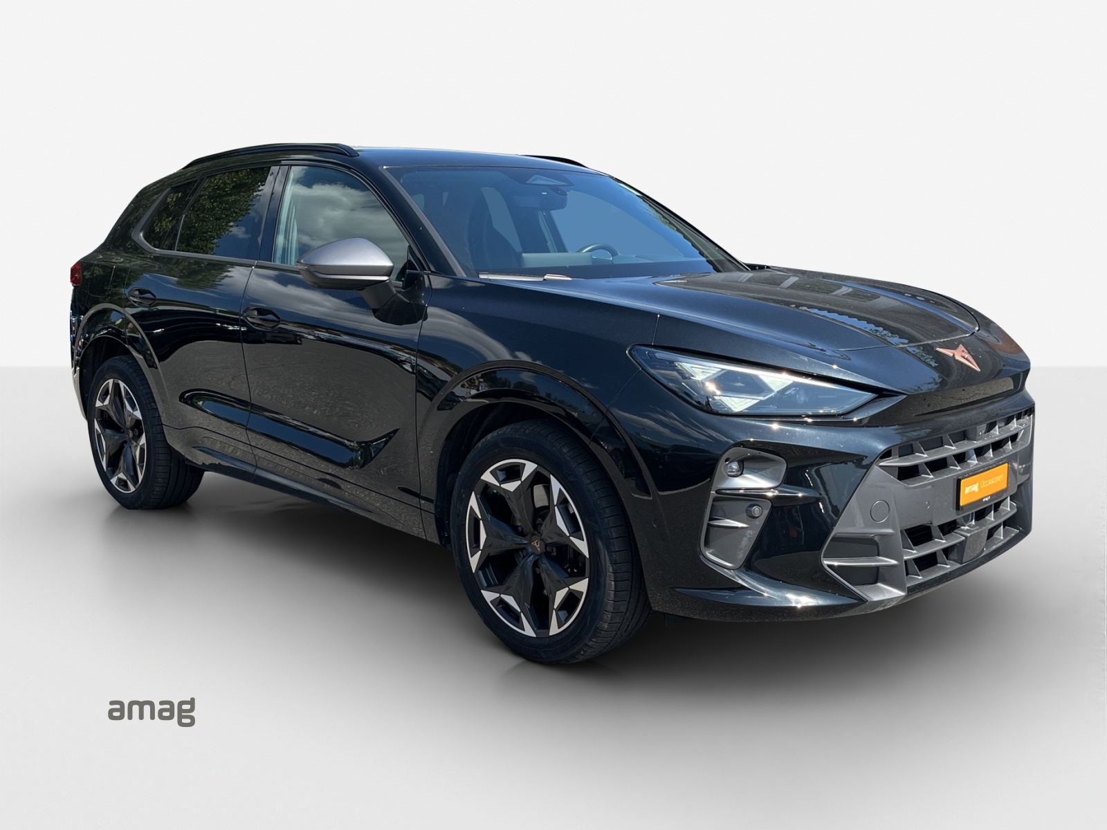 CUPRA Terramar 2.0 TSI DSG 4Drive VZ-image-5