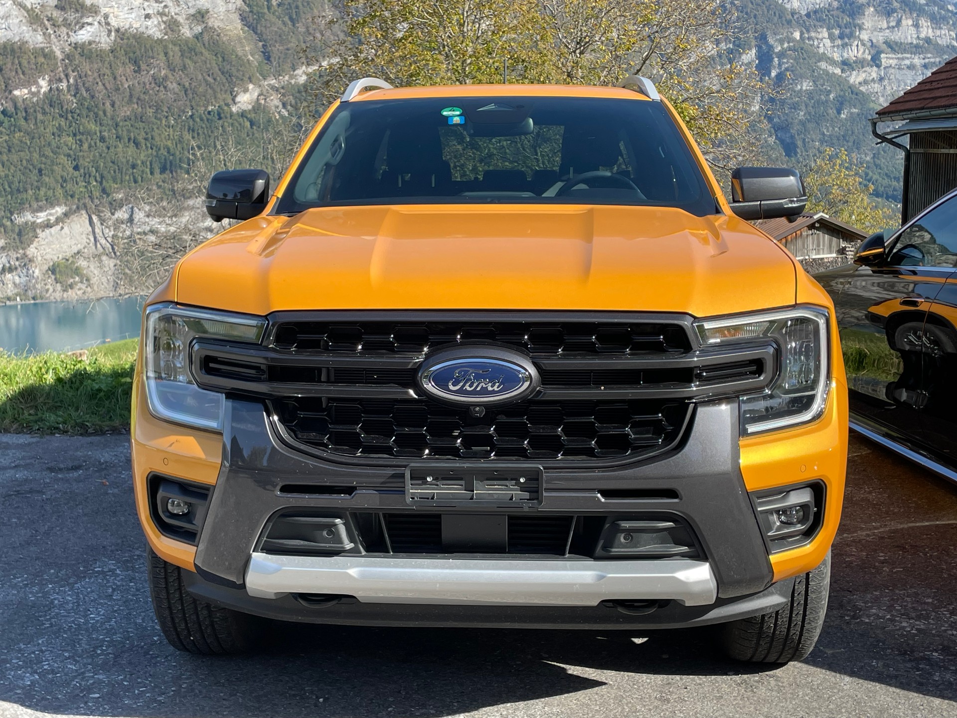 FORD 2.0 EcoBlue 4x4 Wildtrak-image-2