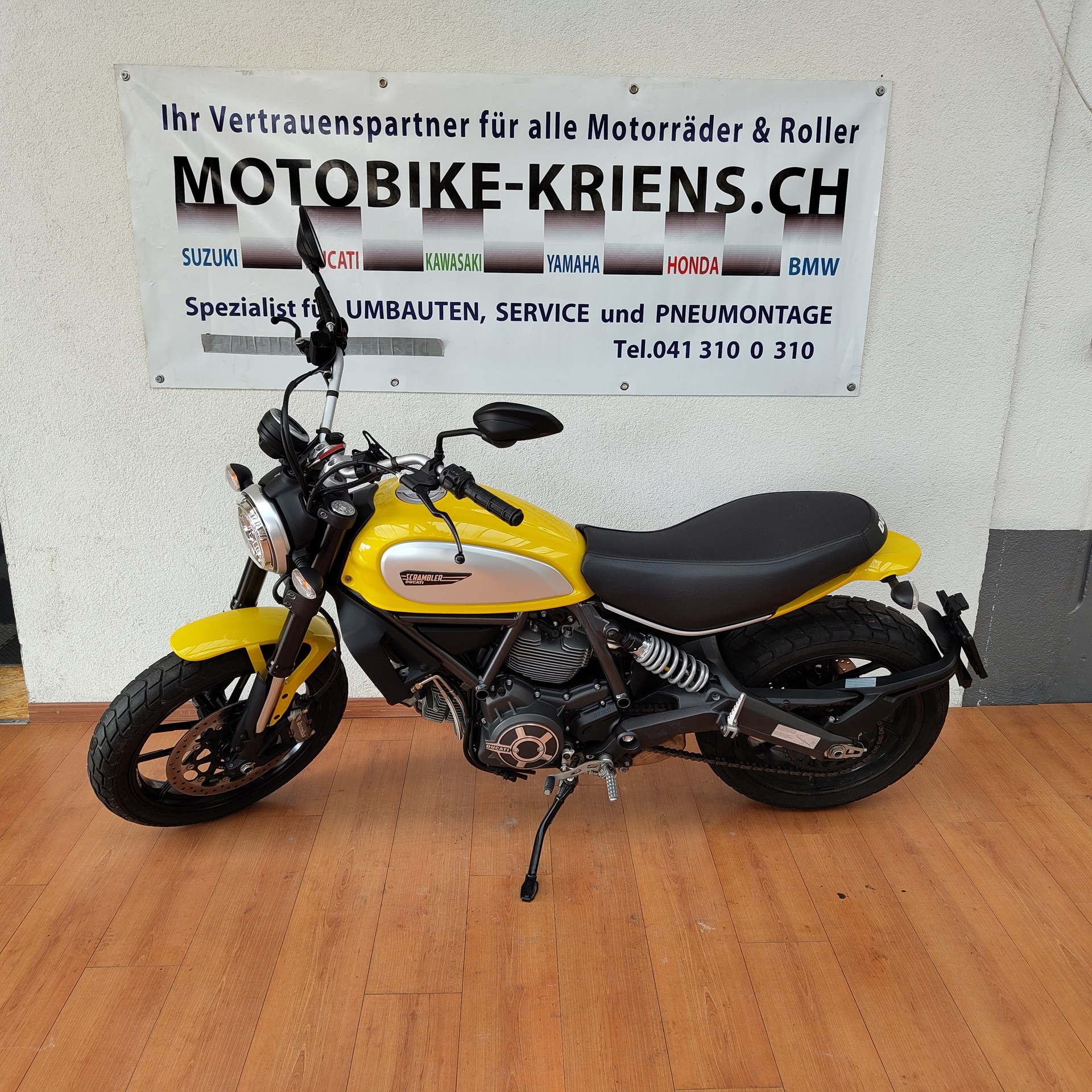 DUCATI Scrambler 800 Icon
