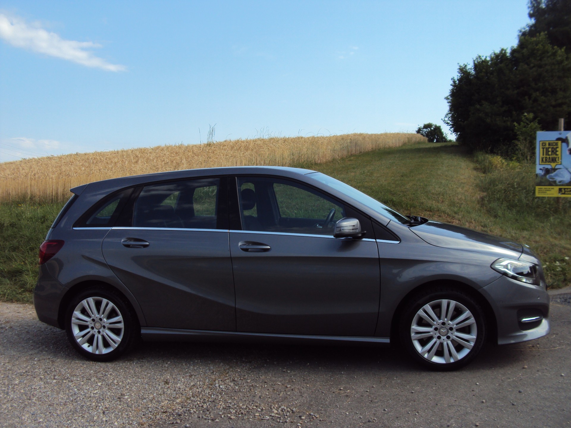 MERCEDES-BENZ B 250 4Matic 7G-DCT-image-7