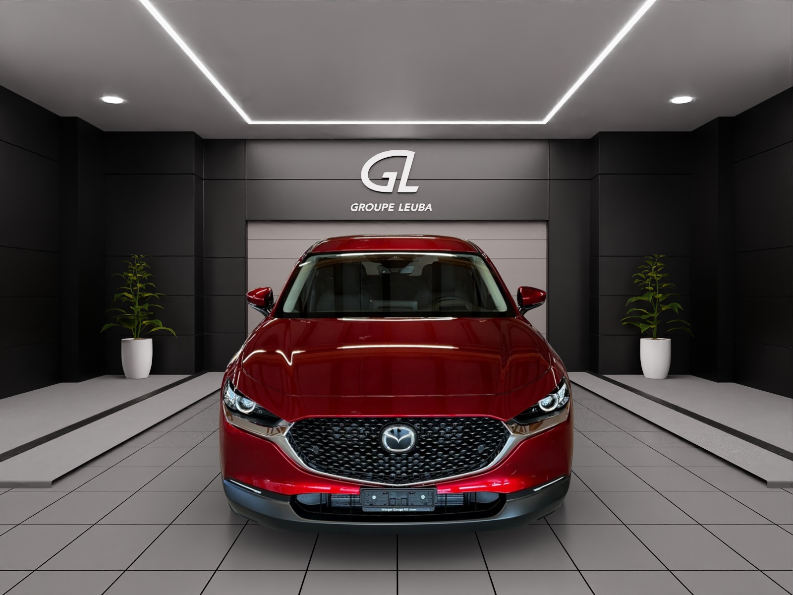 Image MAZDA CX-30 CX-30 SKYACTIV-G 140 M Hybrid Exclusive Line FWD AT