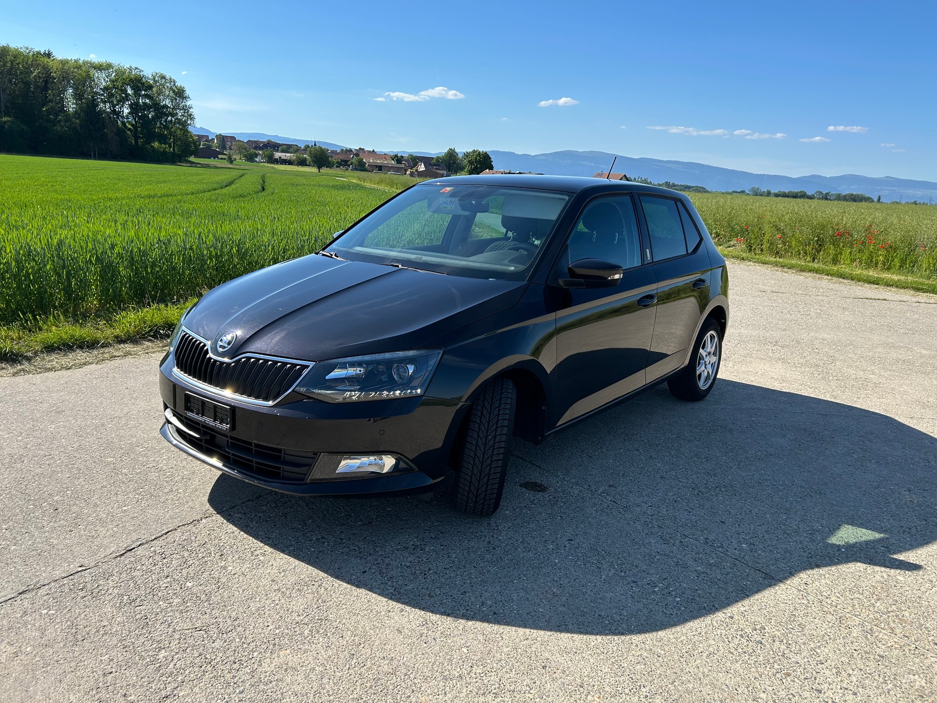 SKODA 1.0 TSI Swiss Line 25 DSG-image-2