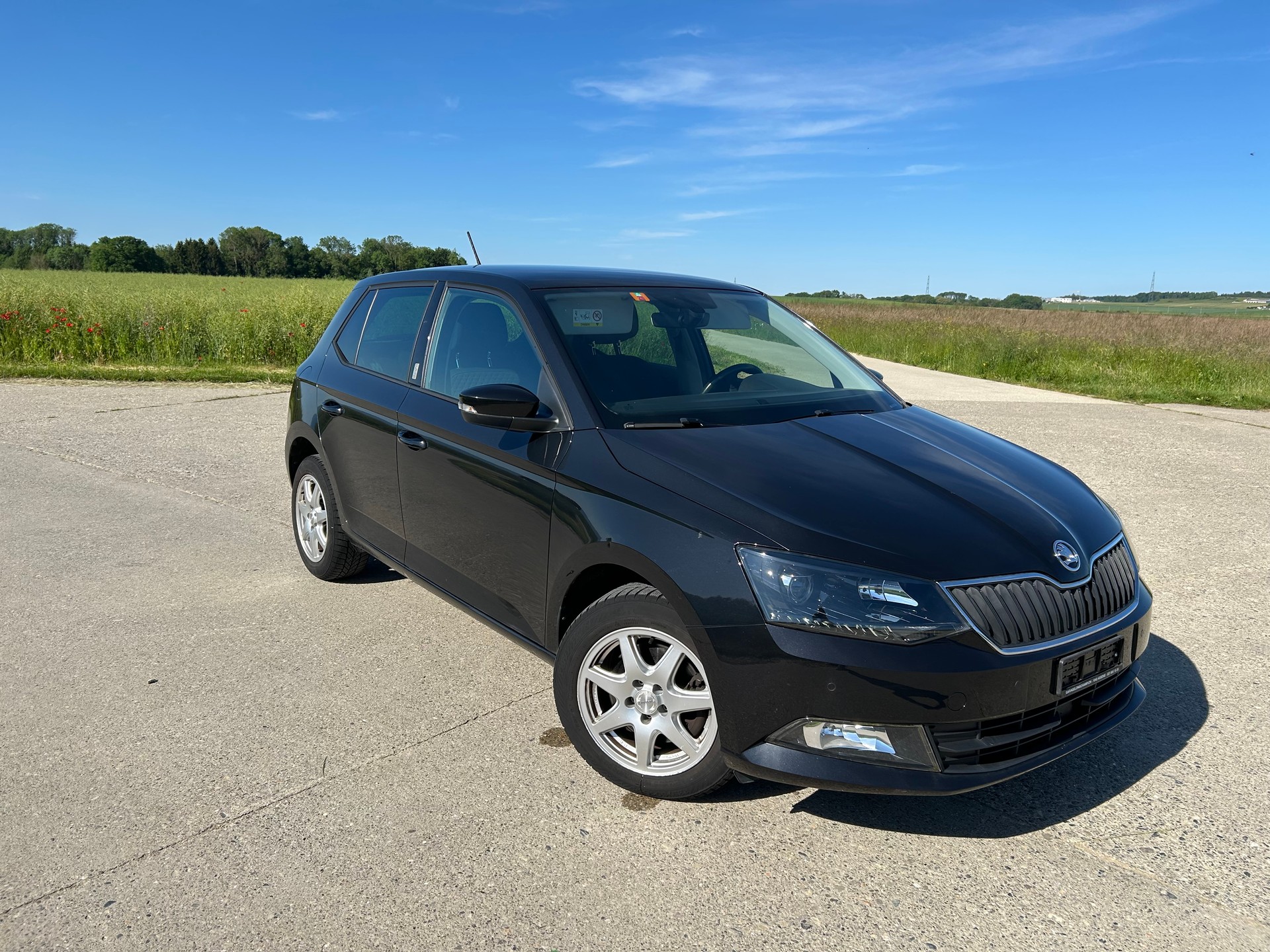 SKODA 1.0 TSI Swiss Line 25 DSG-image-1