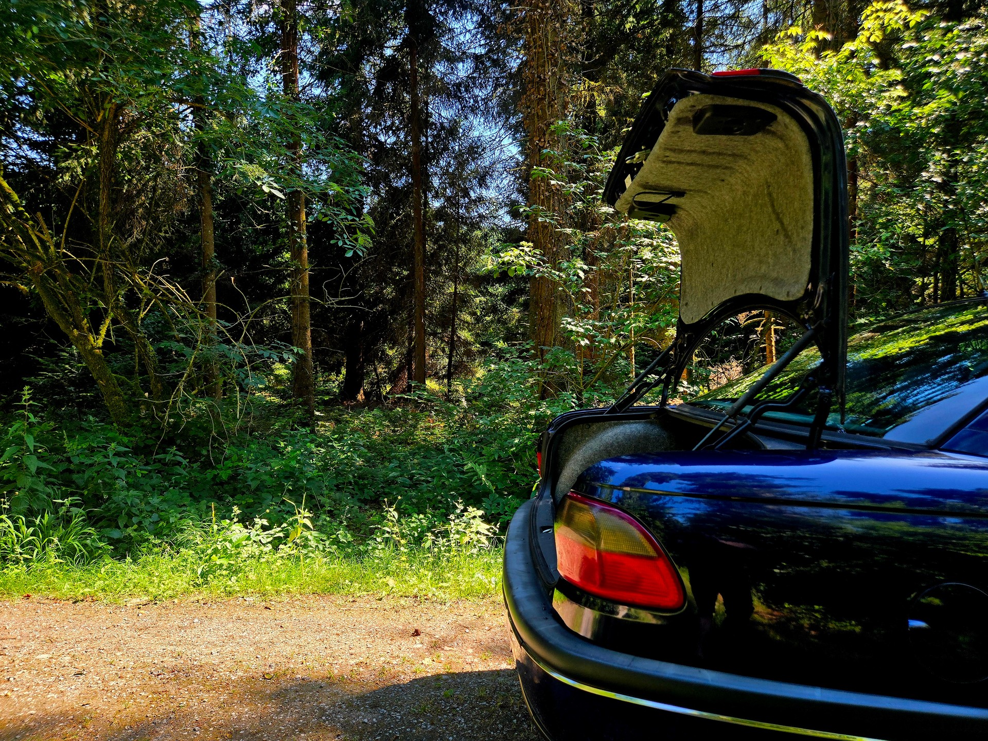 OPEL Omega 2.5i V6 Business-image-8