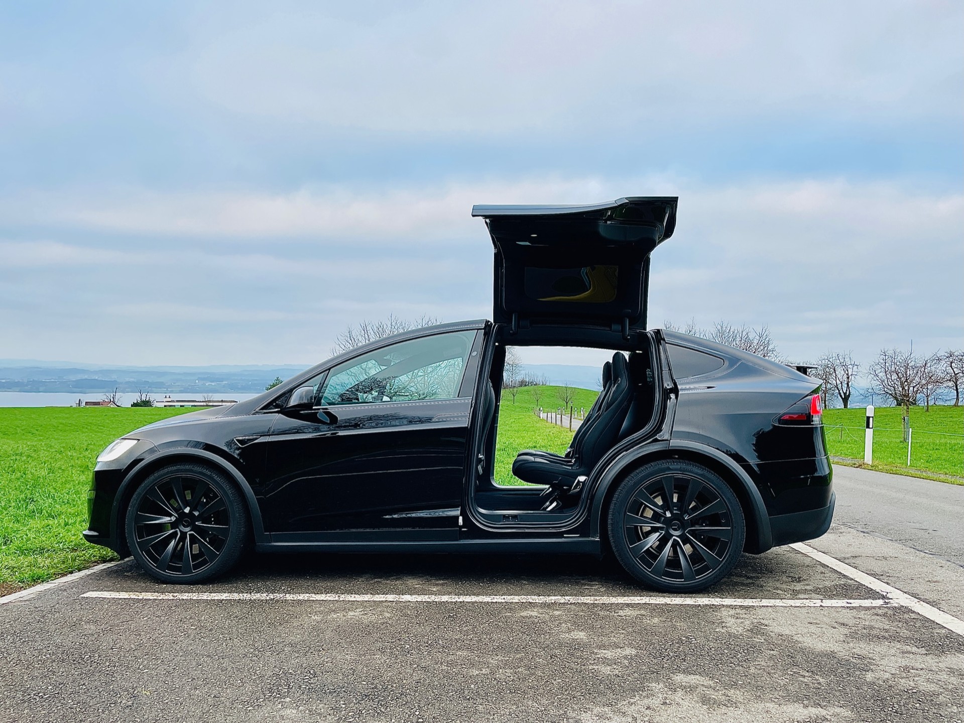 TESLA TESLA Model X 100kWh Plaid | teslify.ch