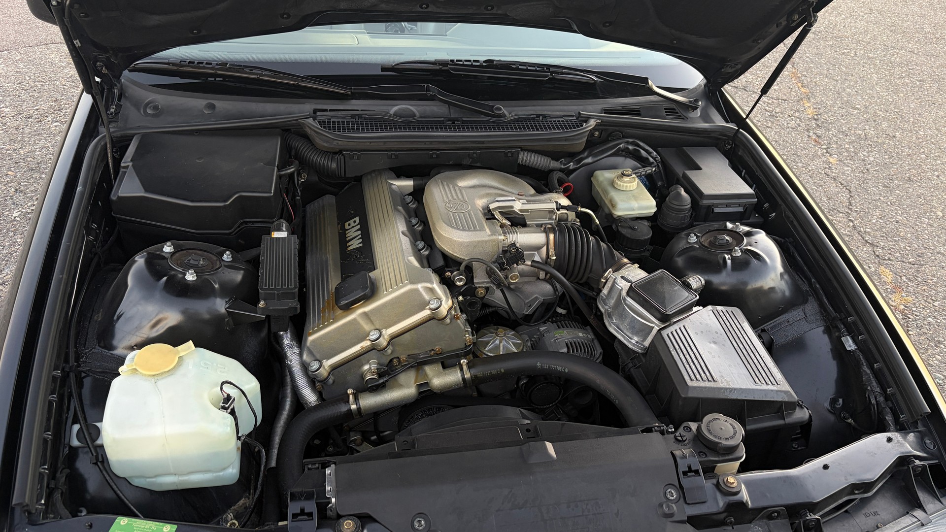 BMW 318ti-image-5