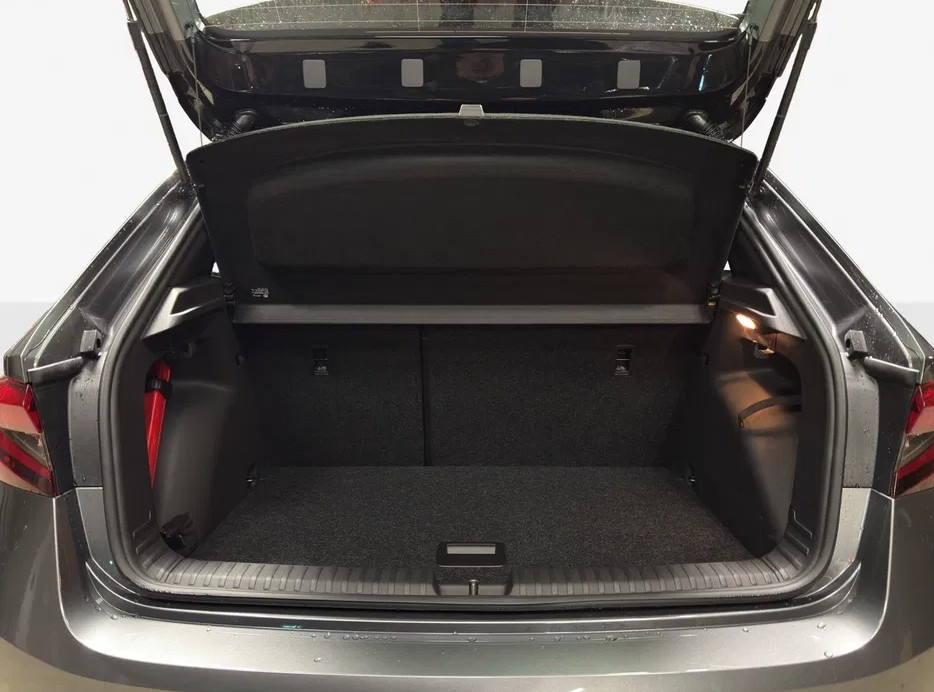 SKODA Fabia 1.0 TSI Monte Carlo DSG-image-8