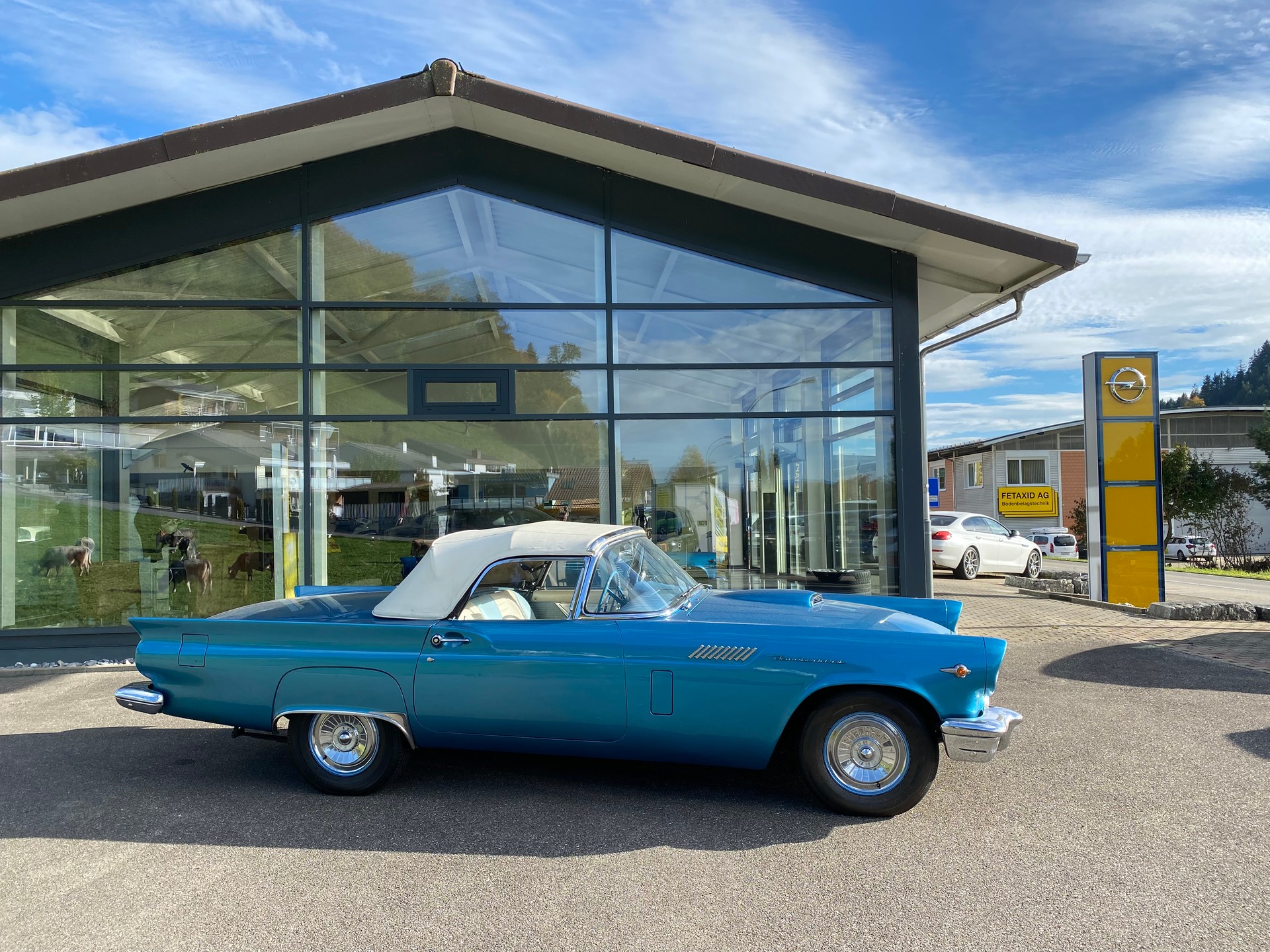 FORD Thunderbird-image-6