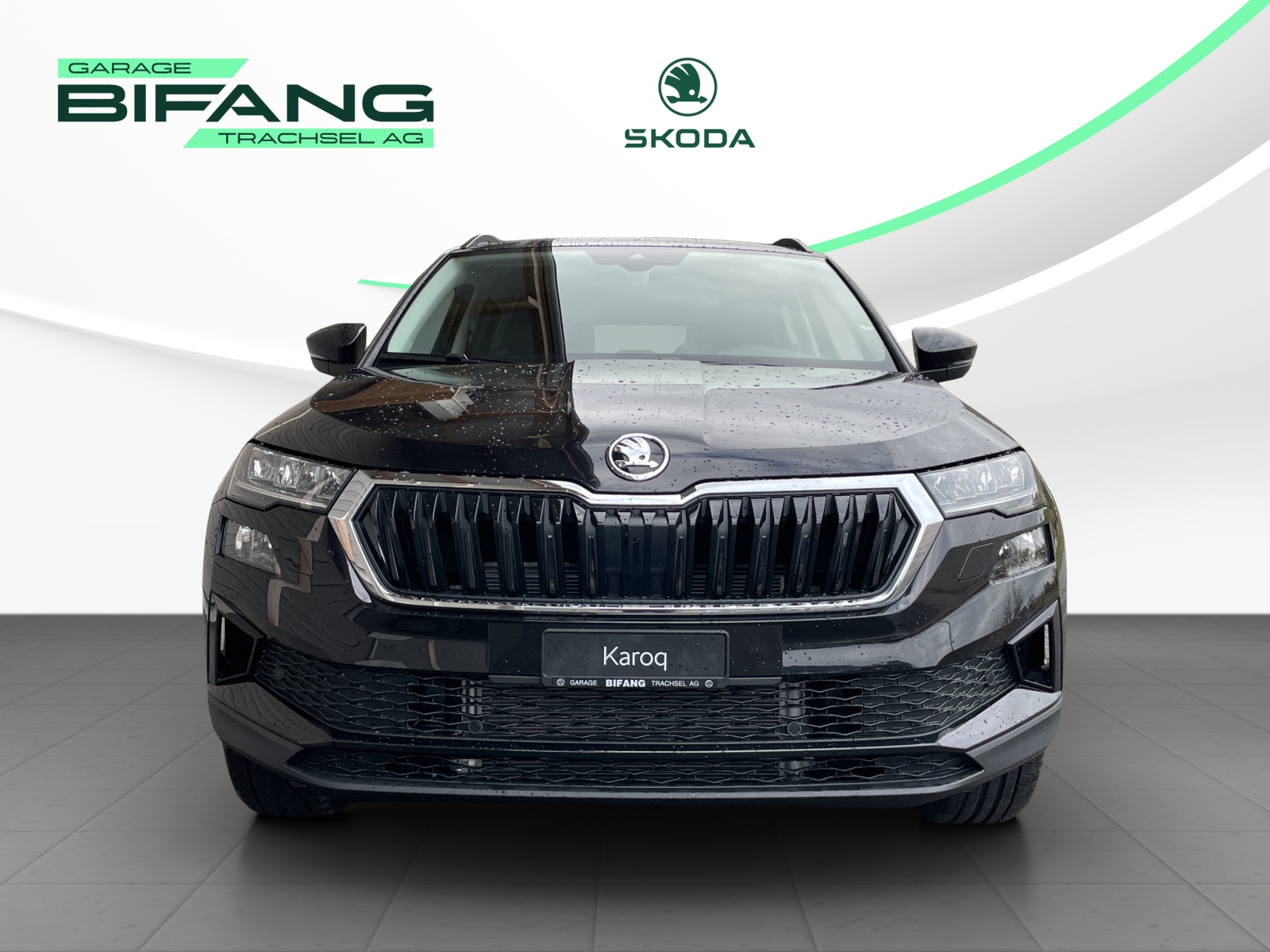 SKODA Karoq 2.0 TDI CR Selection 4x4 DSG-image-1