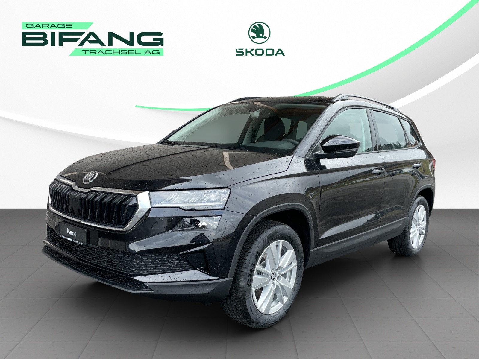 SKODA Karoq 2.0 TDI CR Selection 4x4 DSG