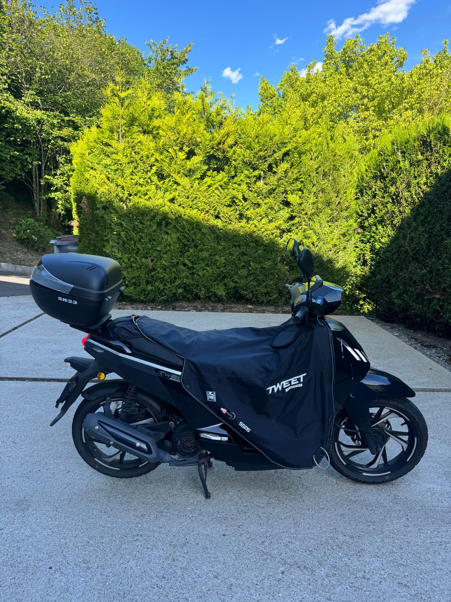 PEUGEOT Tweet 125-image-2