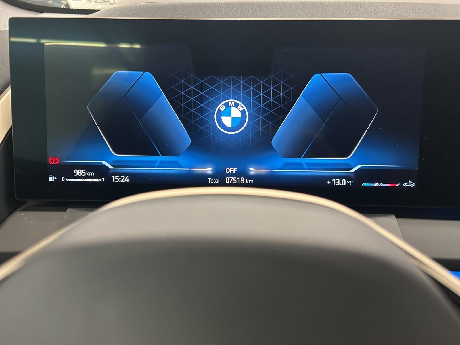 BMW X3 20d xDrive Anhängerkupplung-image-11