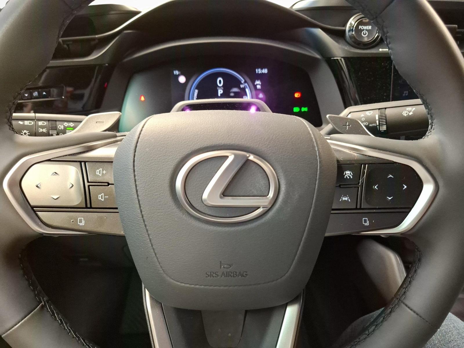 LEXUS RZ 500e Excellence-image-14