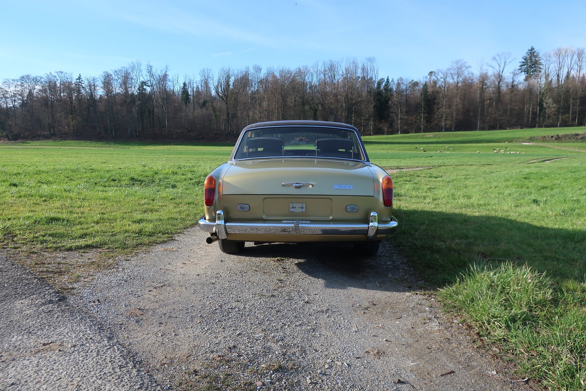 ROLLS-ROYCE CORNICHE Fixed Head Coupé-image-6