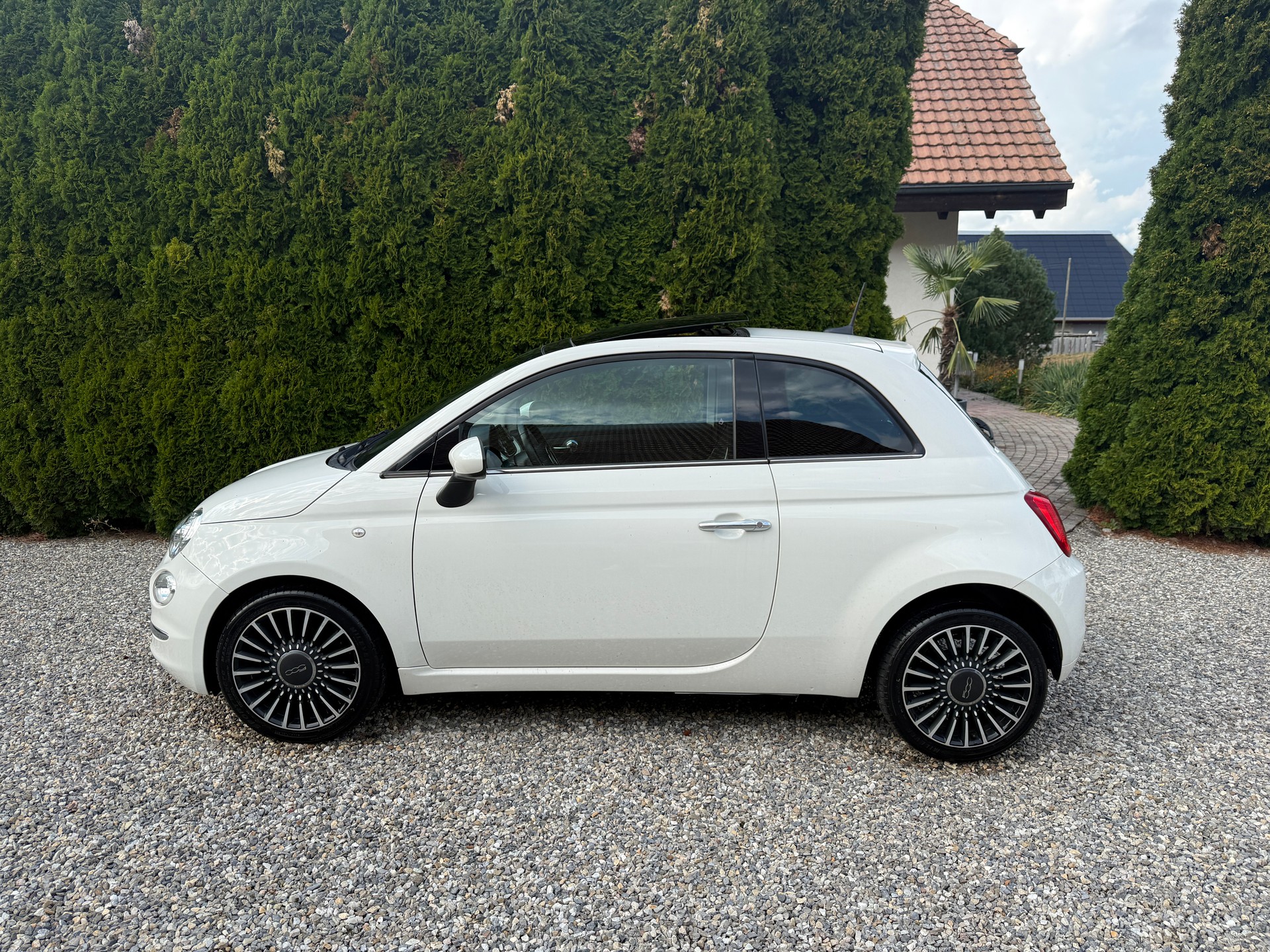 FIAT 0.9 T TwinAir Lounge Dual.-image-1