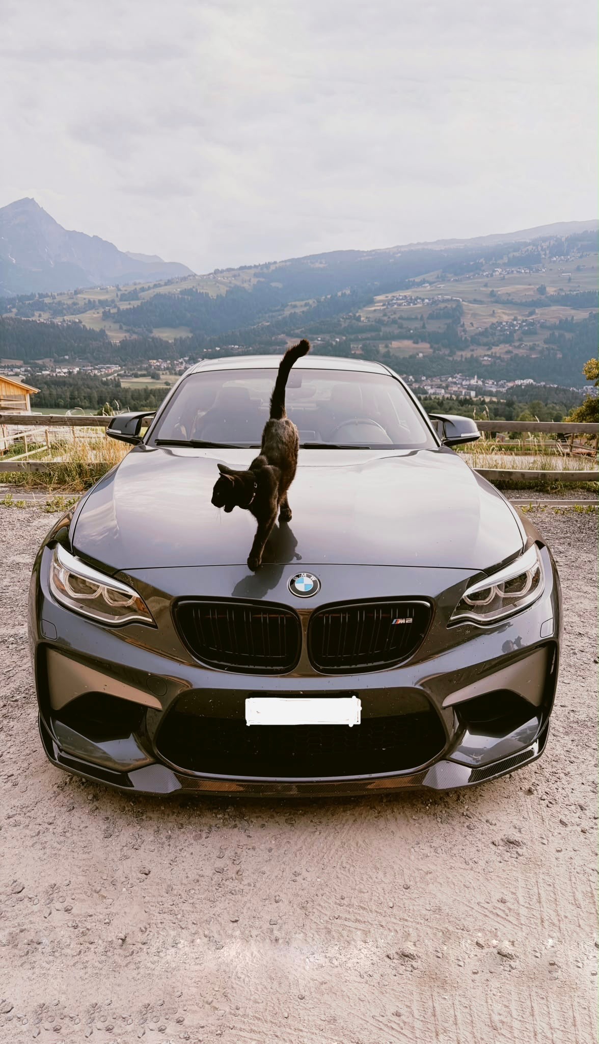 BMW M2-image-3