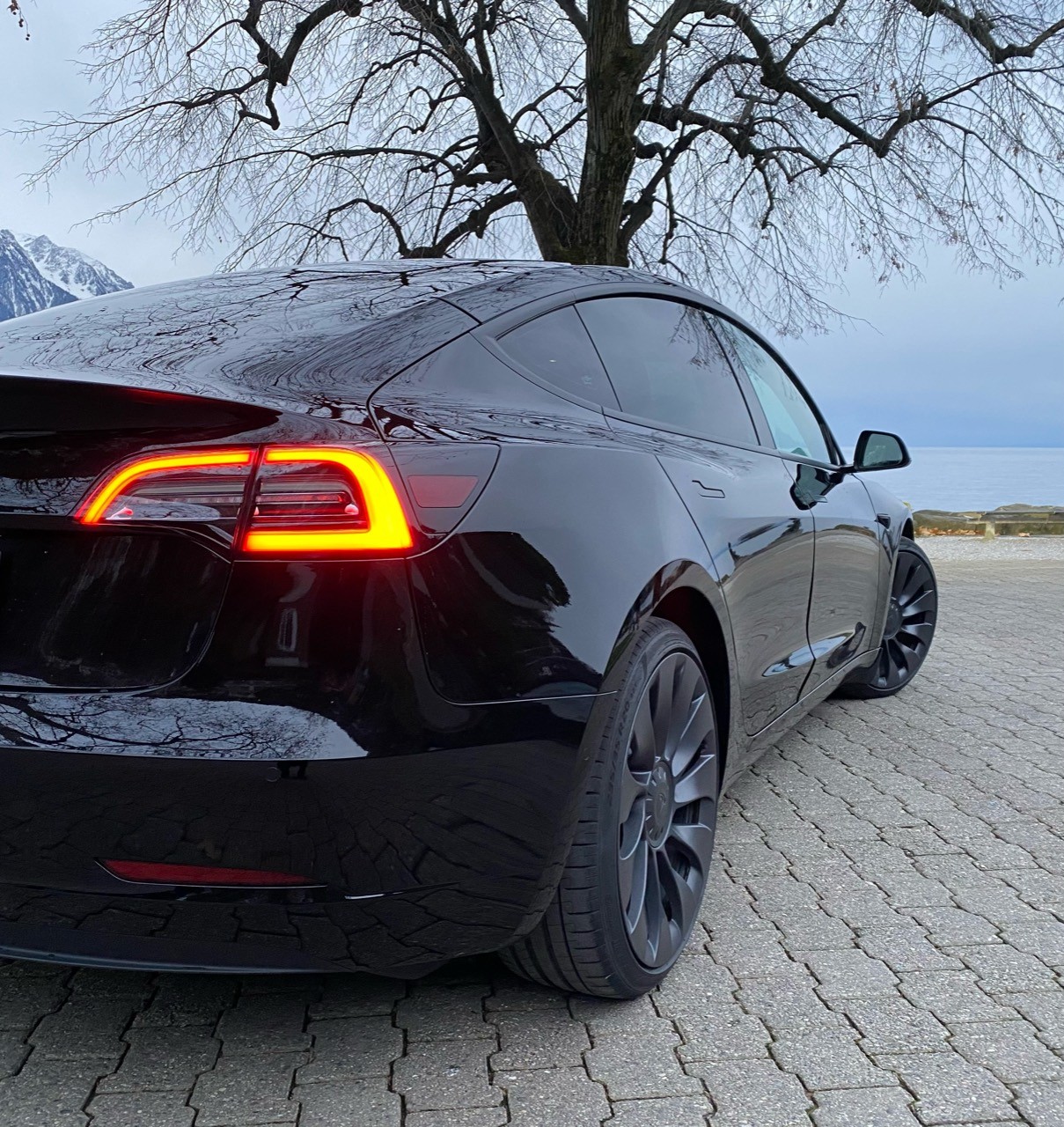 TESLA Performance D-image-3