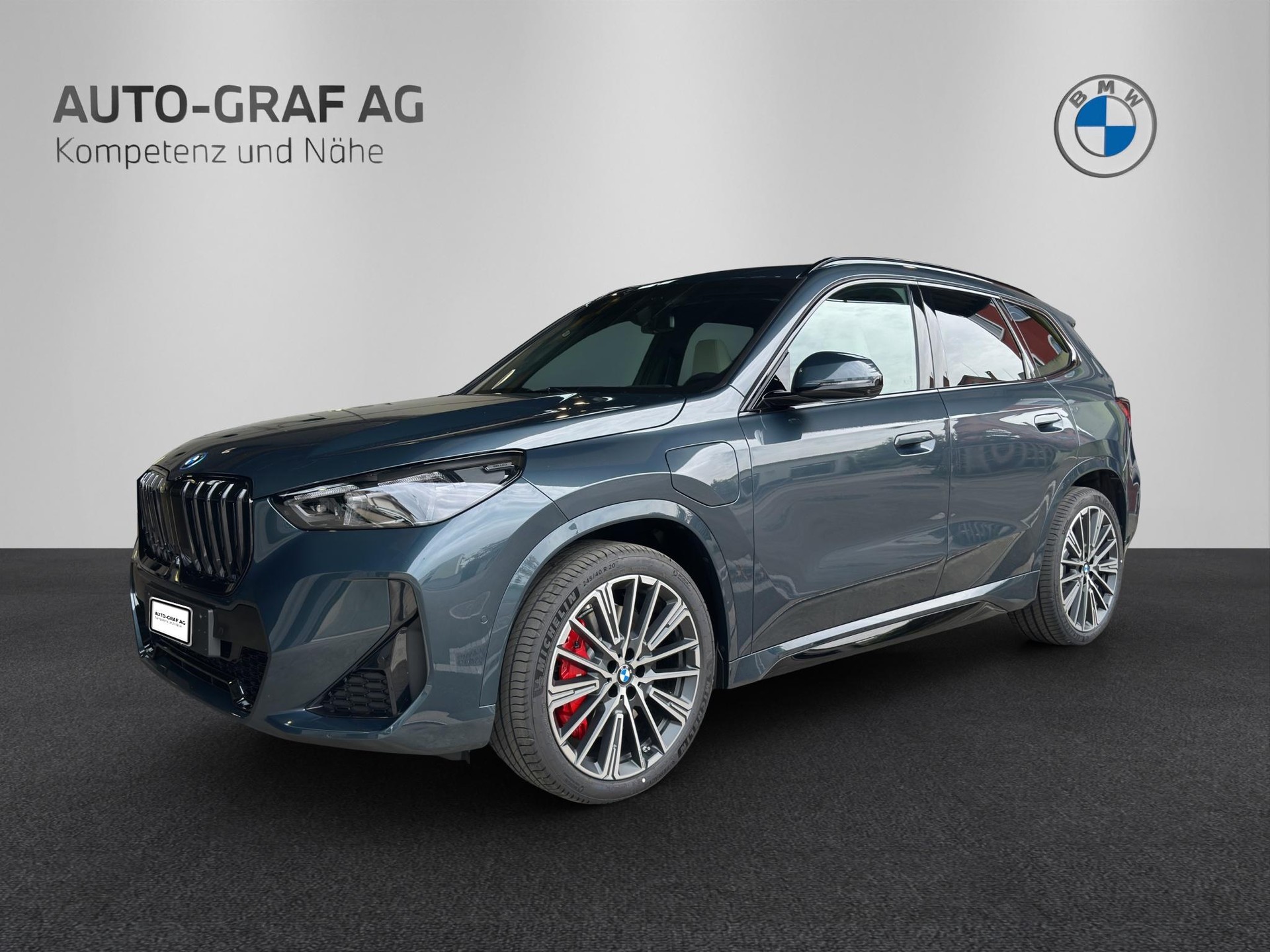 BMW X1 30e xDrive M Sport Pro Individual-image-0