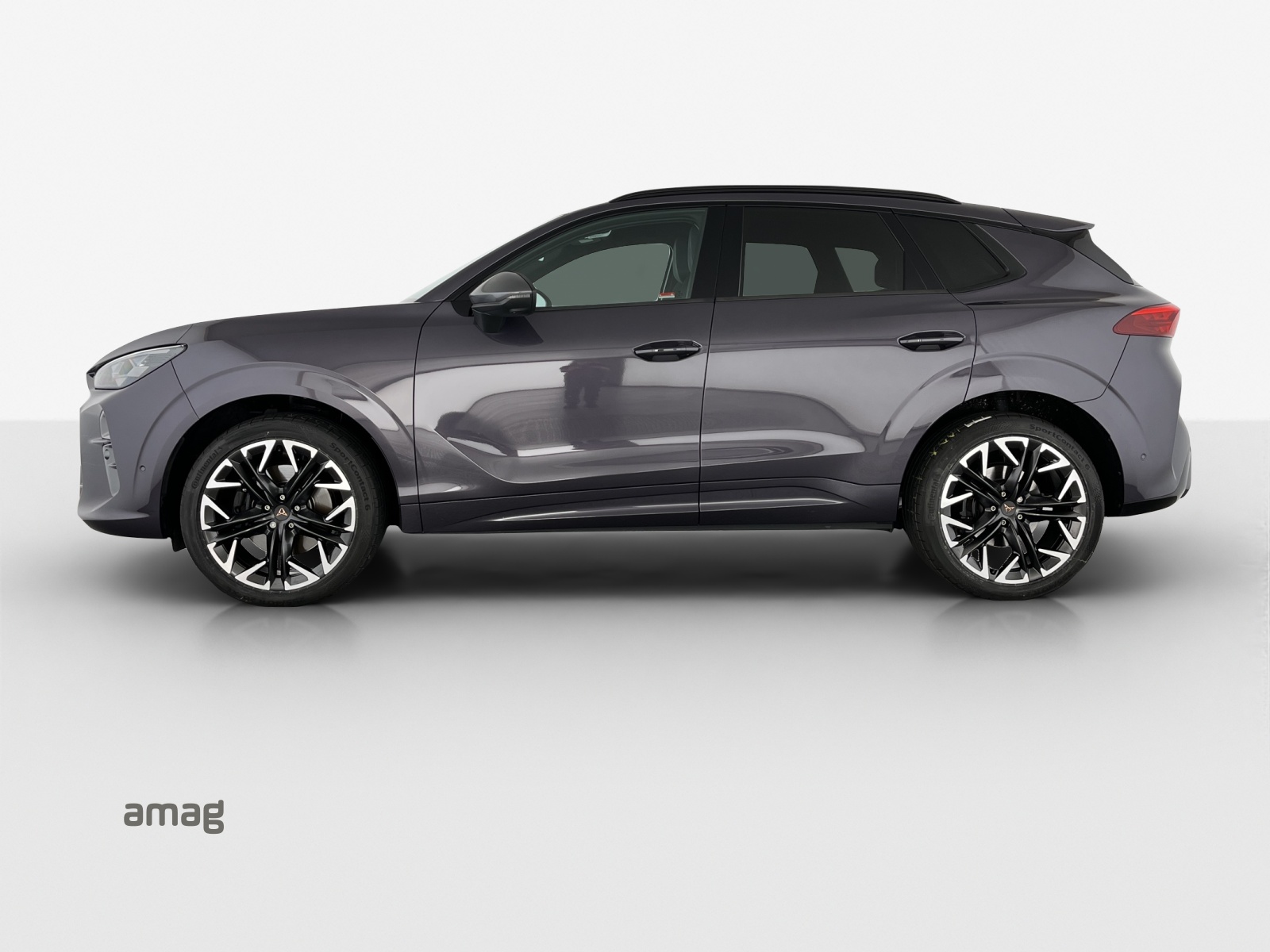 CUPRA Terramar 2.0 TSI DSG 4Drive VZ-image-1