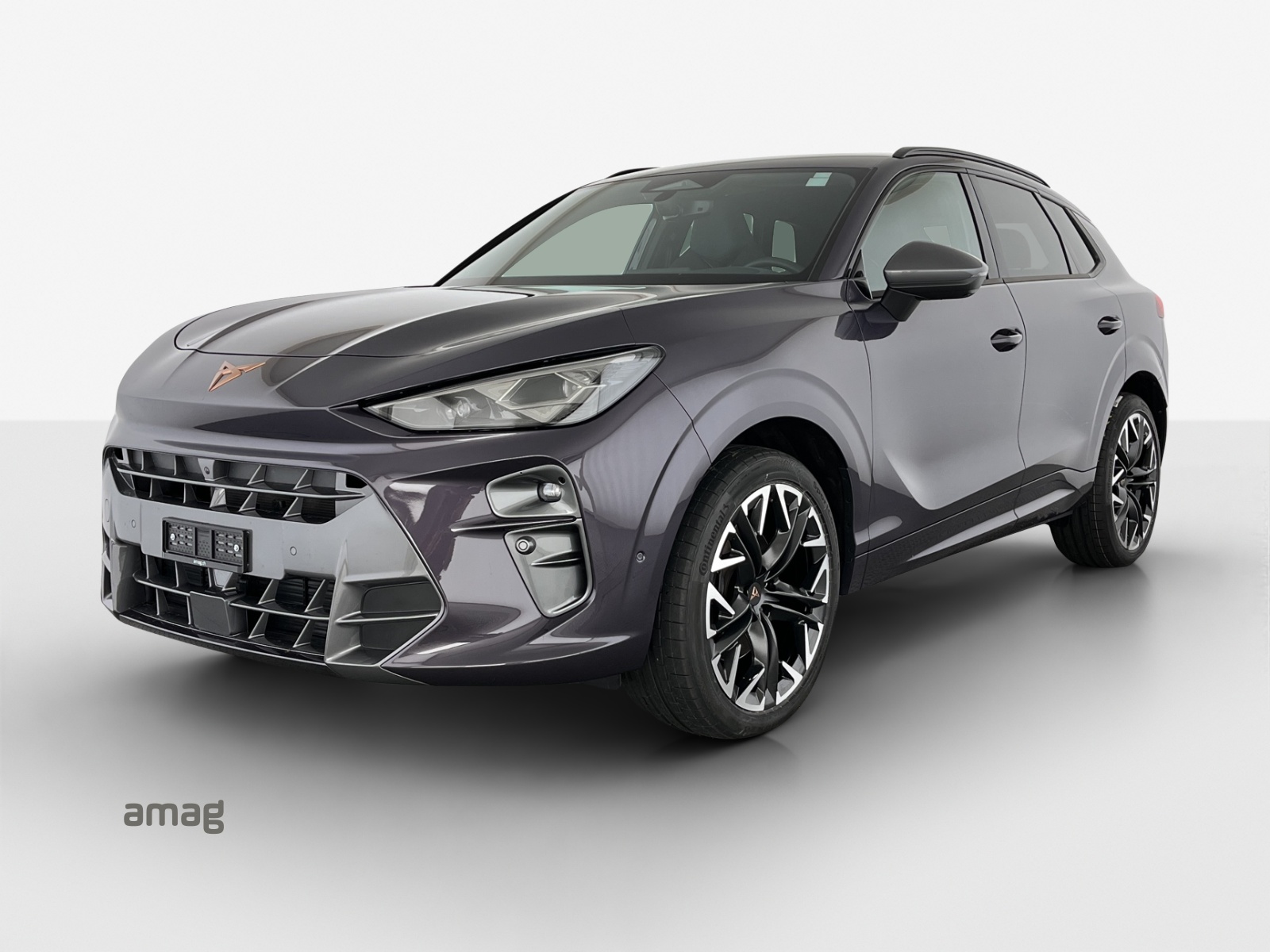 CUPRA Terramar 2.0 TSI DSG 4Drive VZ-image-0