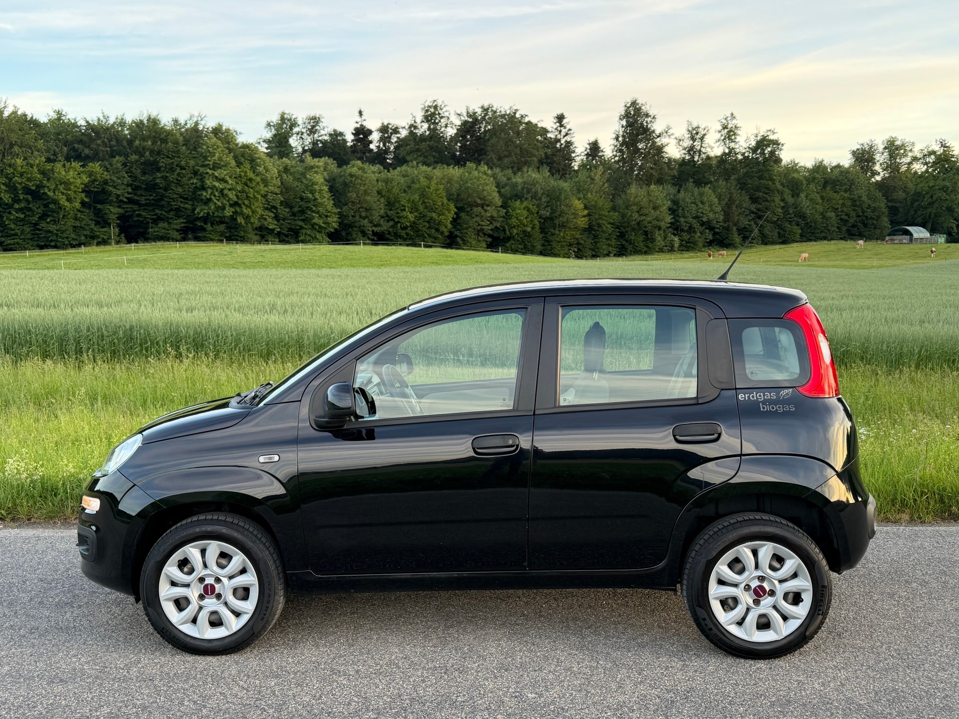 FIAT Panda 0.9 Twinair Turbo NP Lounge-image-1