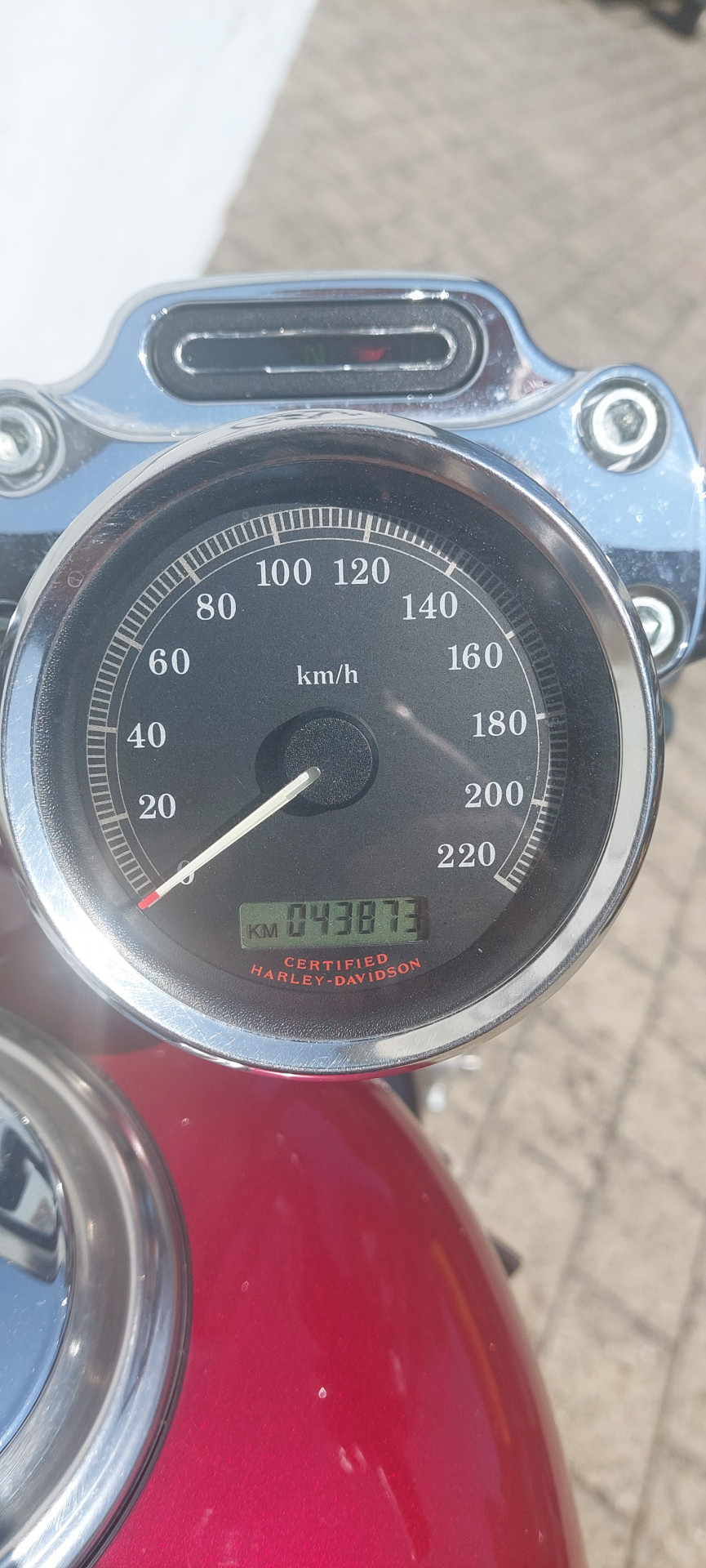HARLEY-DAVIDSON XL 1200 C Sportster Custom-image-4