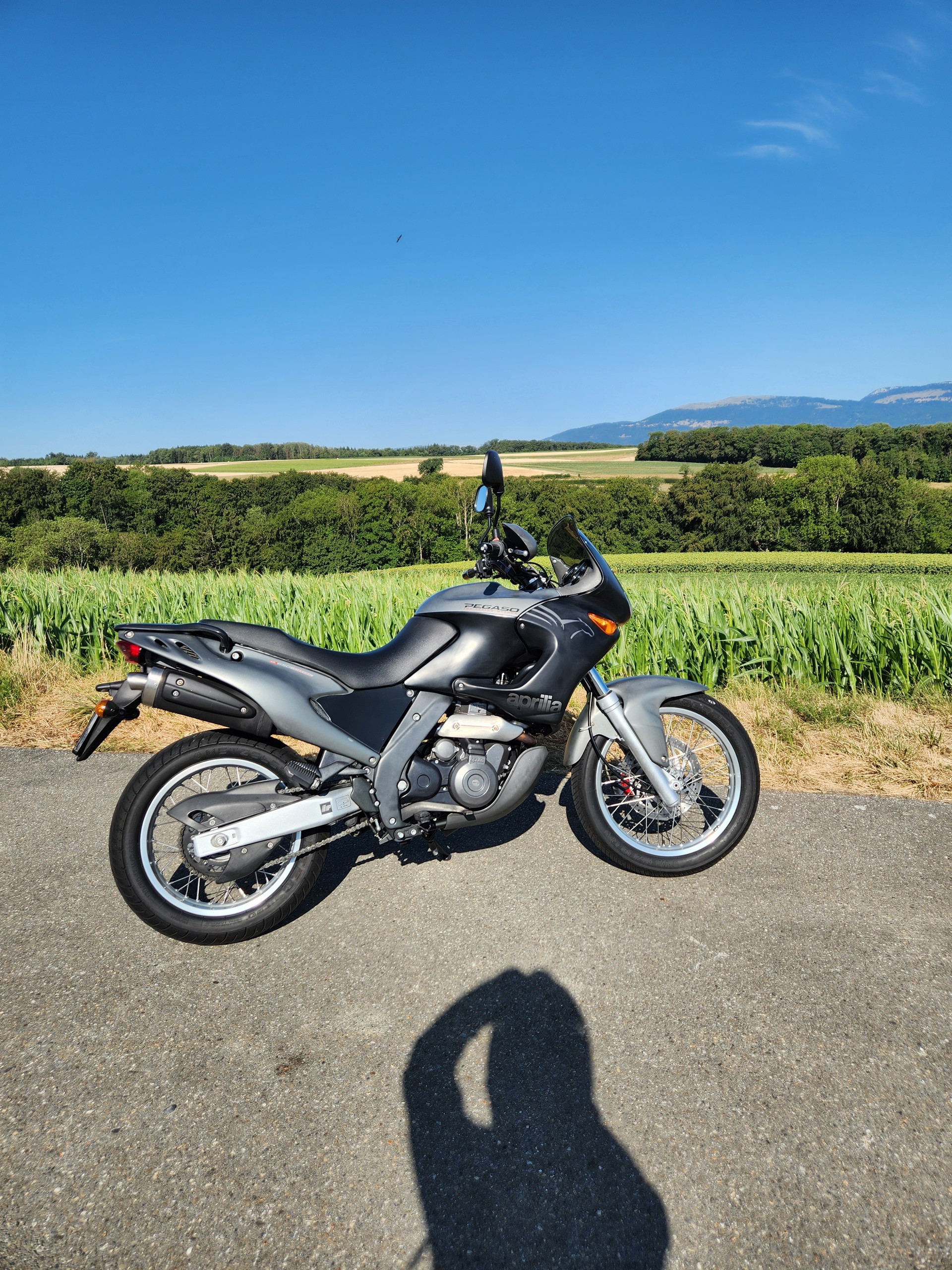 APRILIA Pegaso 650 I.E-image-7