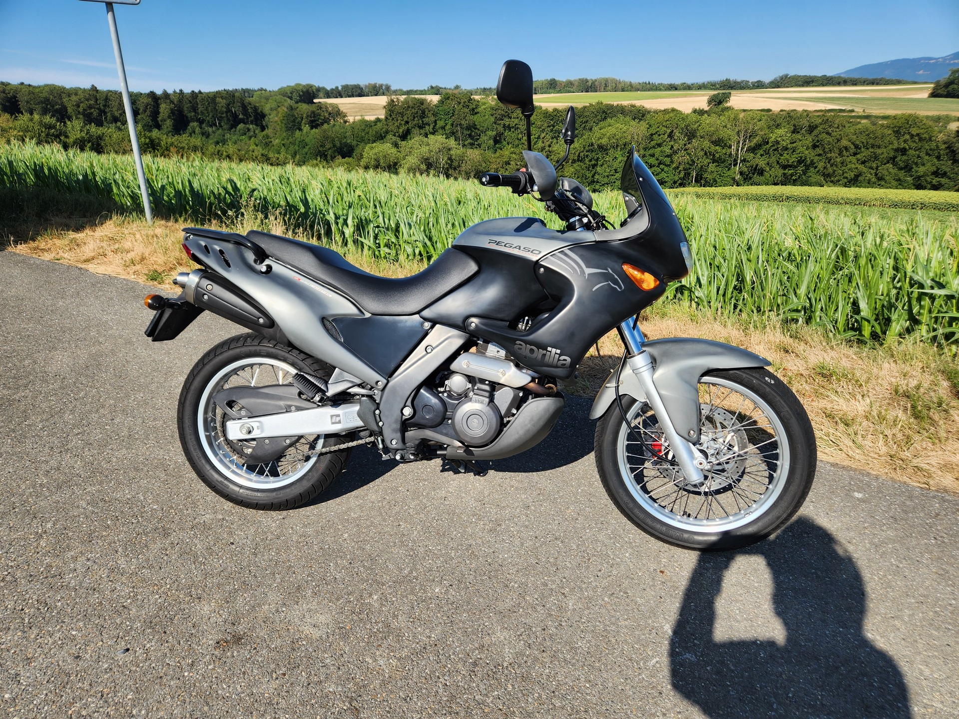 APRILIA Pegaso 650 I.E-image-1