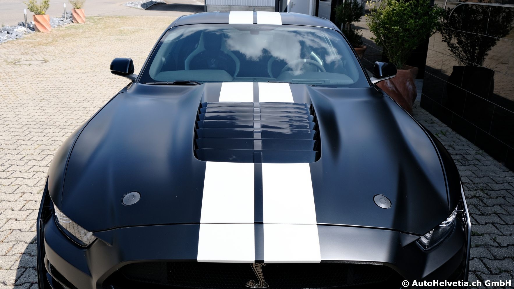 FORD Mustang Shelby GT 500 - Carbon Fiber Track Pack Predator GT500-image-3