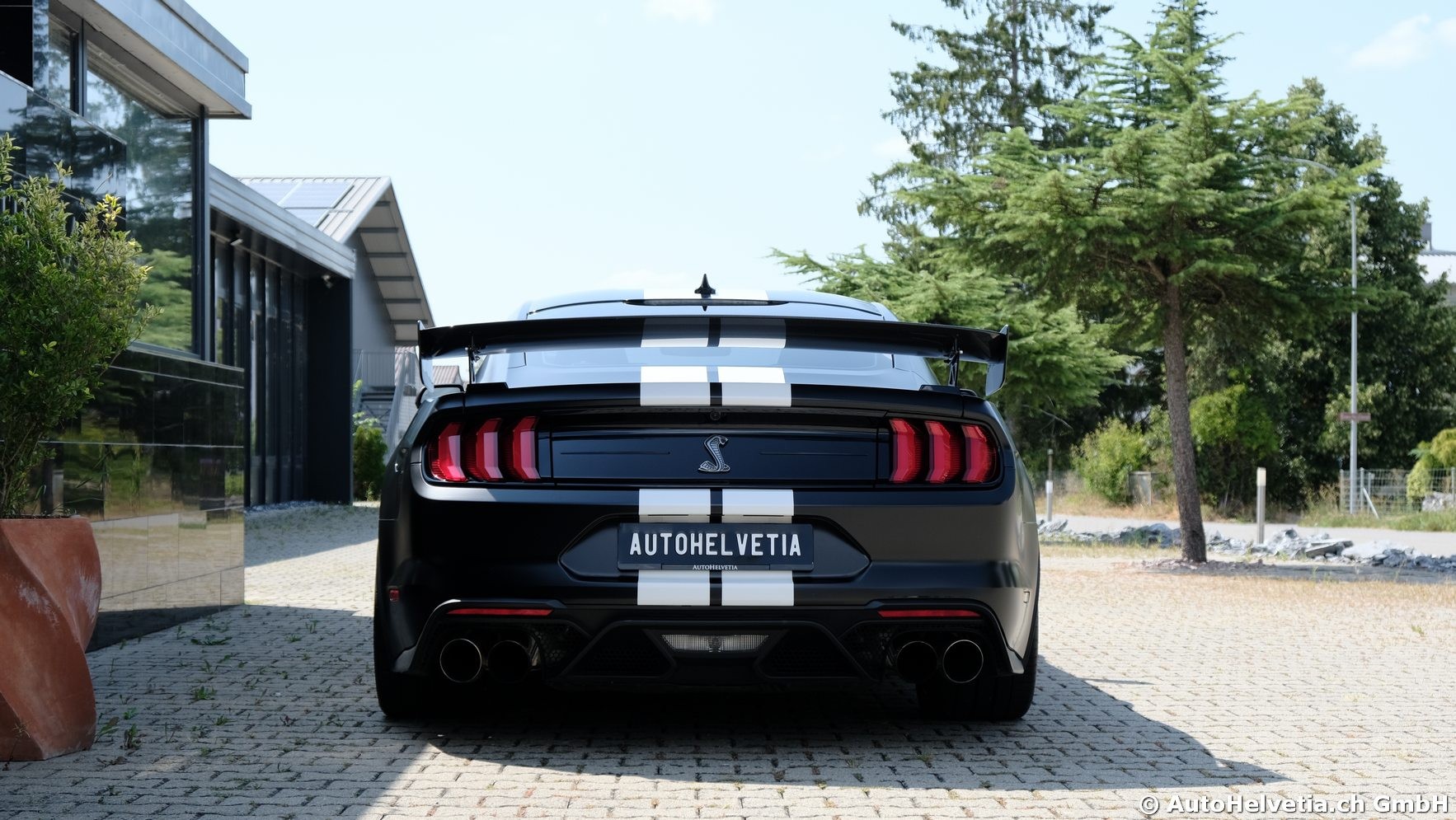 FORD Mustang Shelby GT 500 - Carbon Fiber Track Pack Predator GT500-image-8