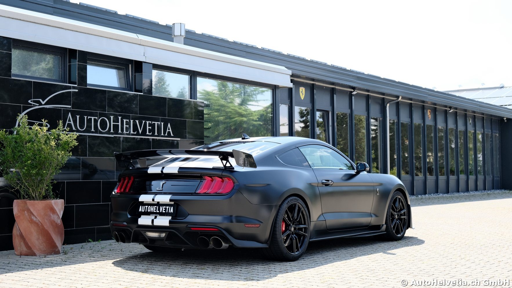 FORD Mustang Shelby GT 500 - Carbon Fiber Track Pack Predator GT500-image-6