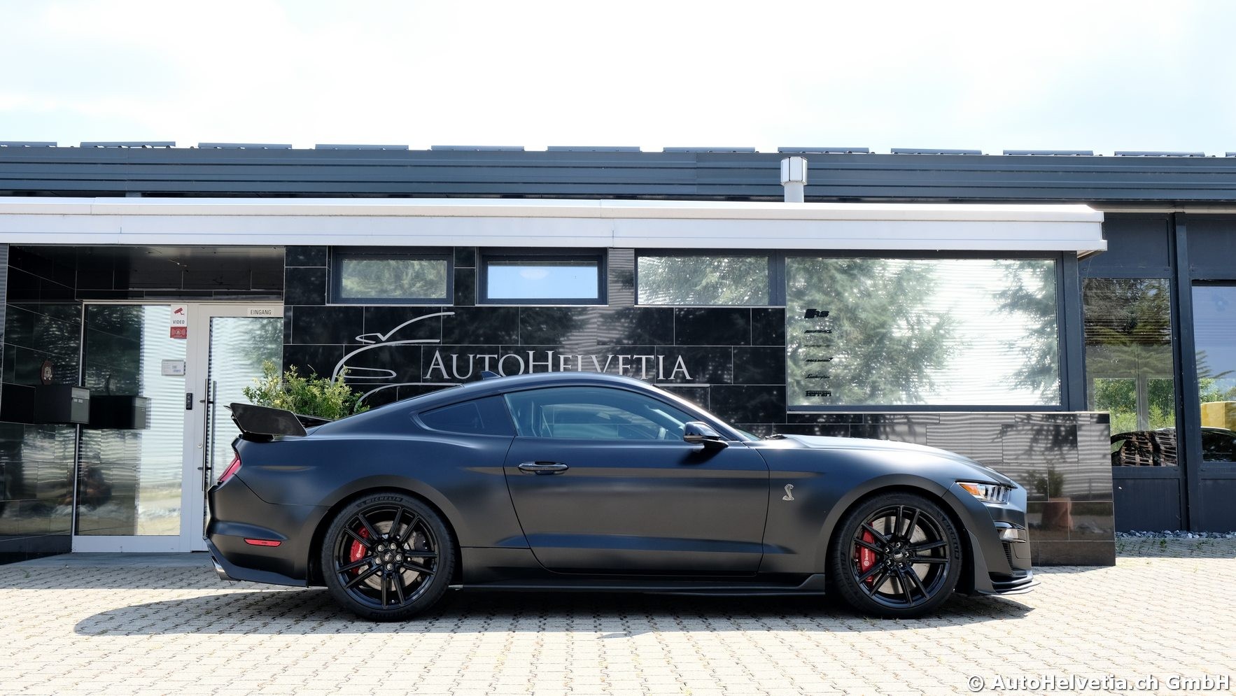FORD Mustang Shelby GT 500 - Carbon Fiber Track Pack Predator GT500-image-4