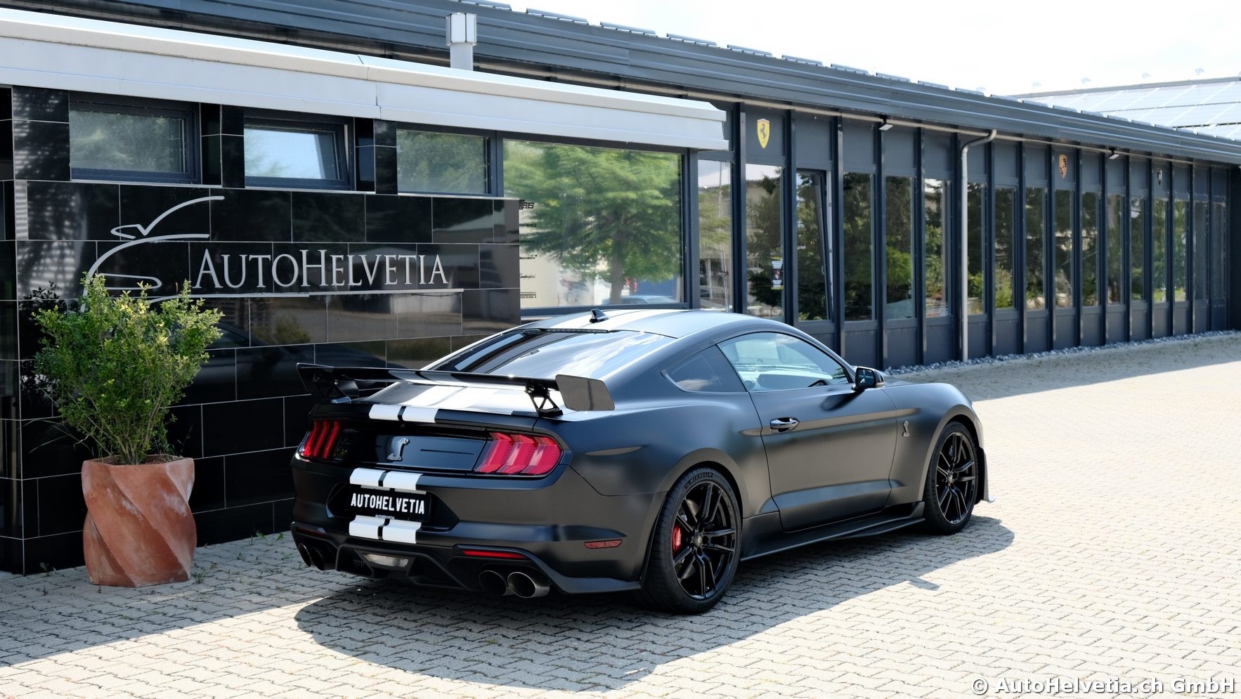 FORD Mustang Shelby GT 500 - Carbon Fiber Track Pack Predator GT500-image-17