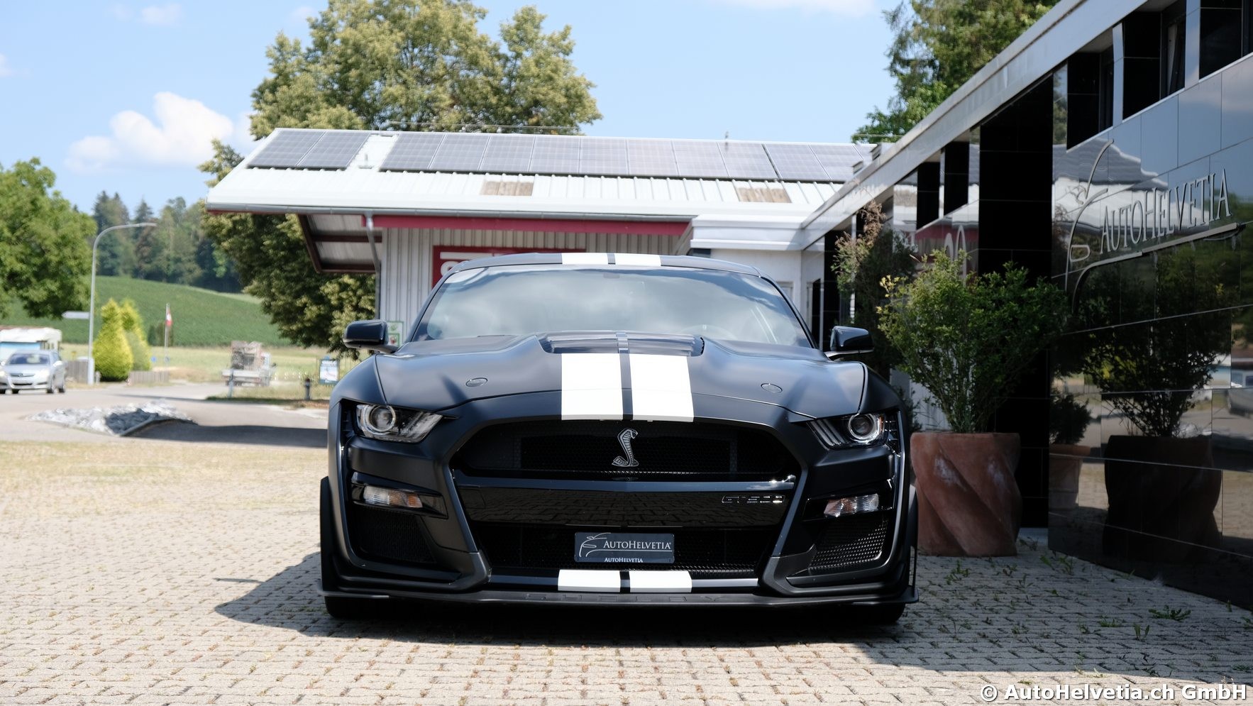 FORD Mustang Shelby GT 500 - Carbon Fiber Track Pack Predator GT500-image-2