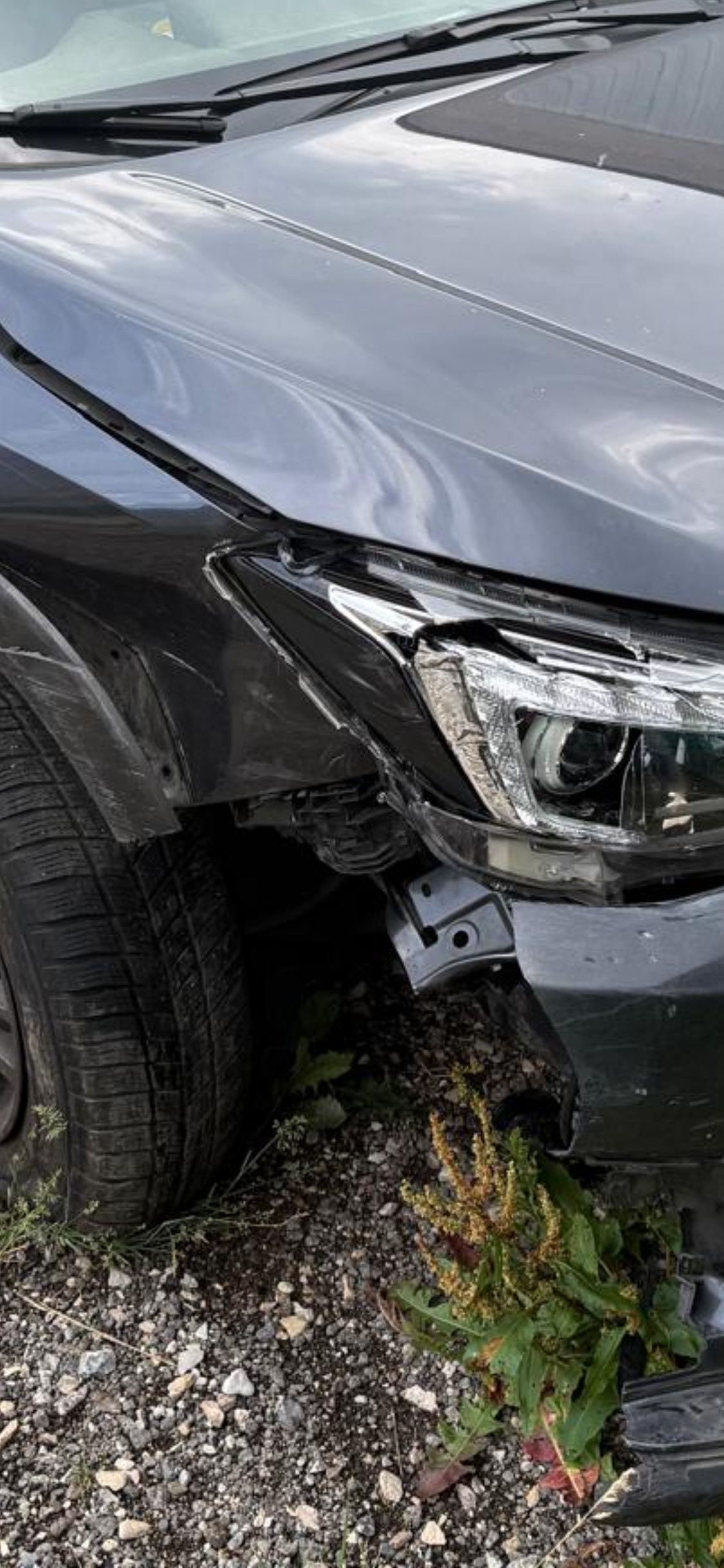 SUBARU XV 2.0 e-Boxer Swiss Plus AWD Lineartronic-image-0