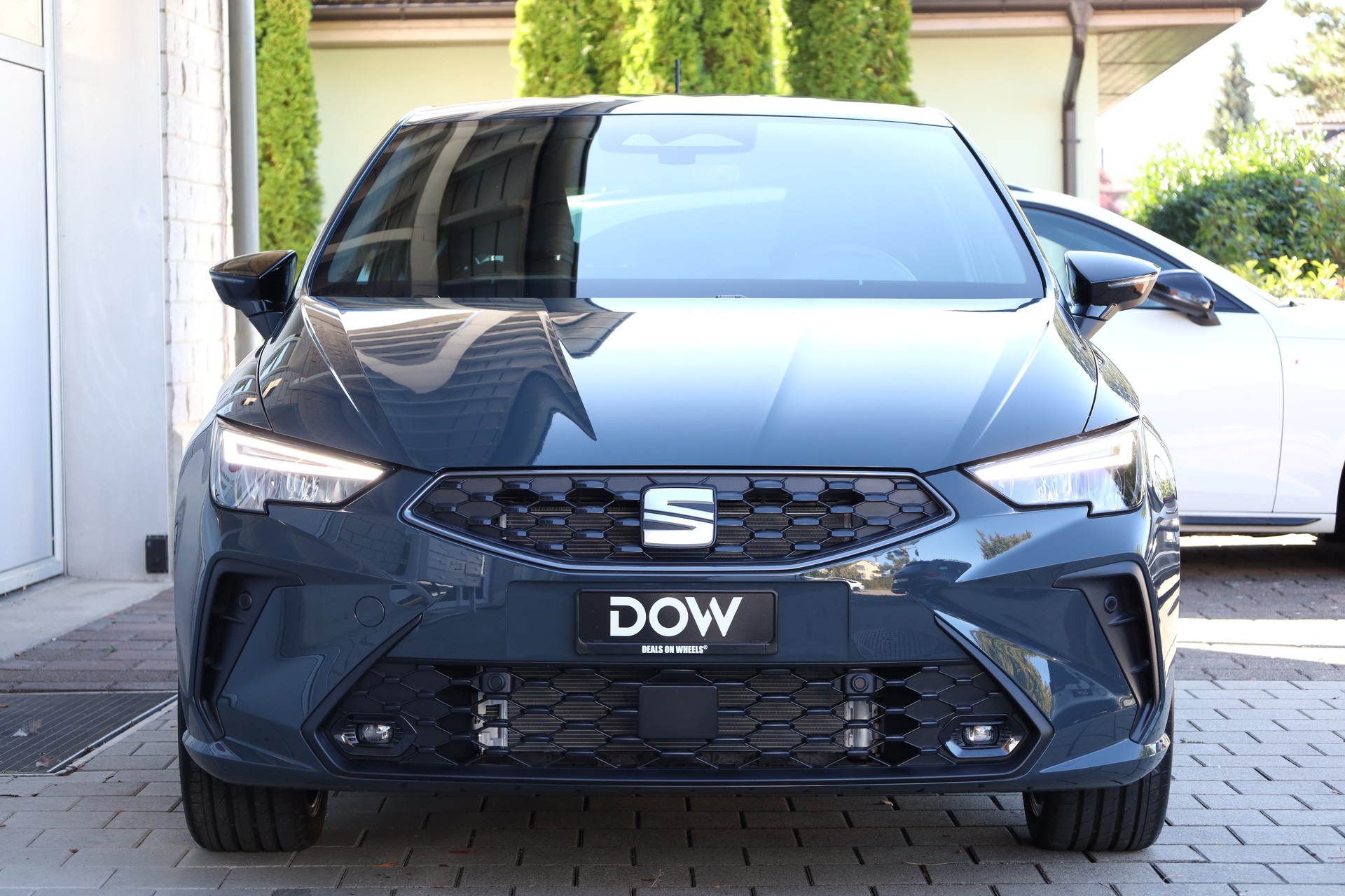 SEAT Ibiza 1.0 TSI 115 FR DSG-image-5