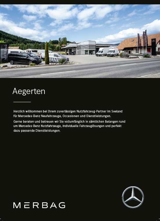 MERCEDES-BENZ Marco Polo 250 d 4M Automat-image-11