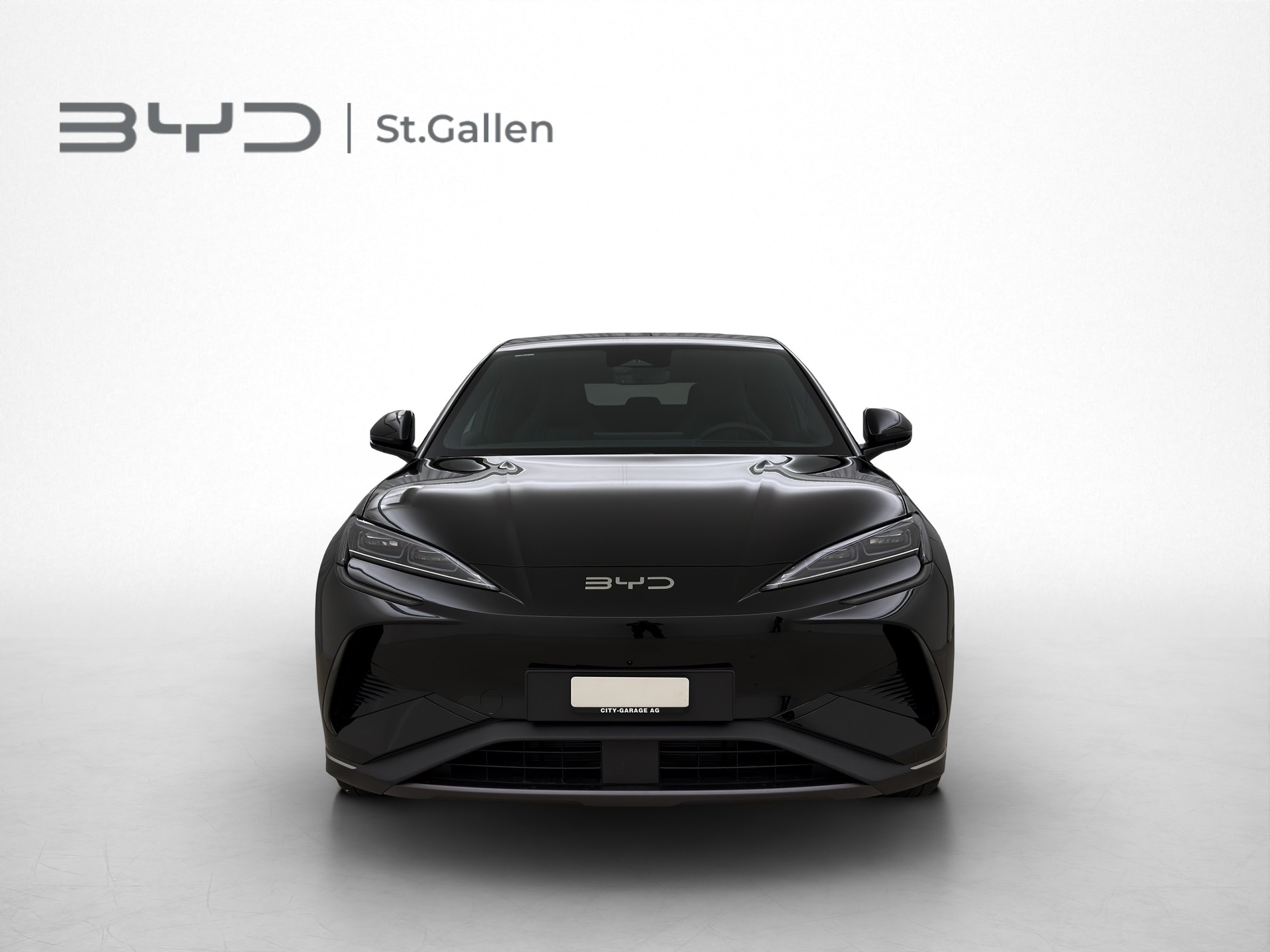 BYD Sealion 7 Excellence AWD-image-1