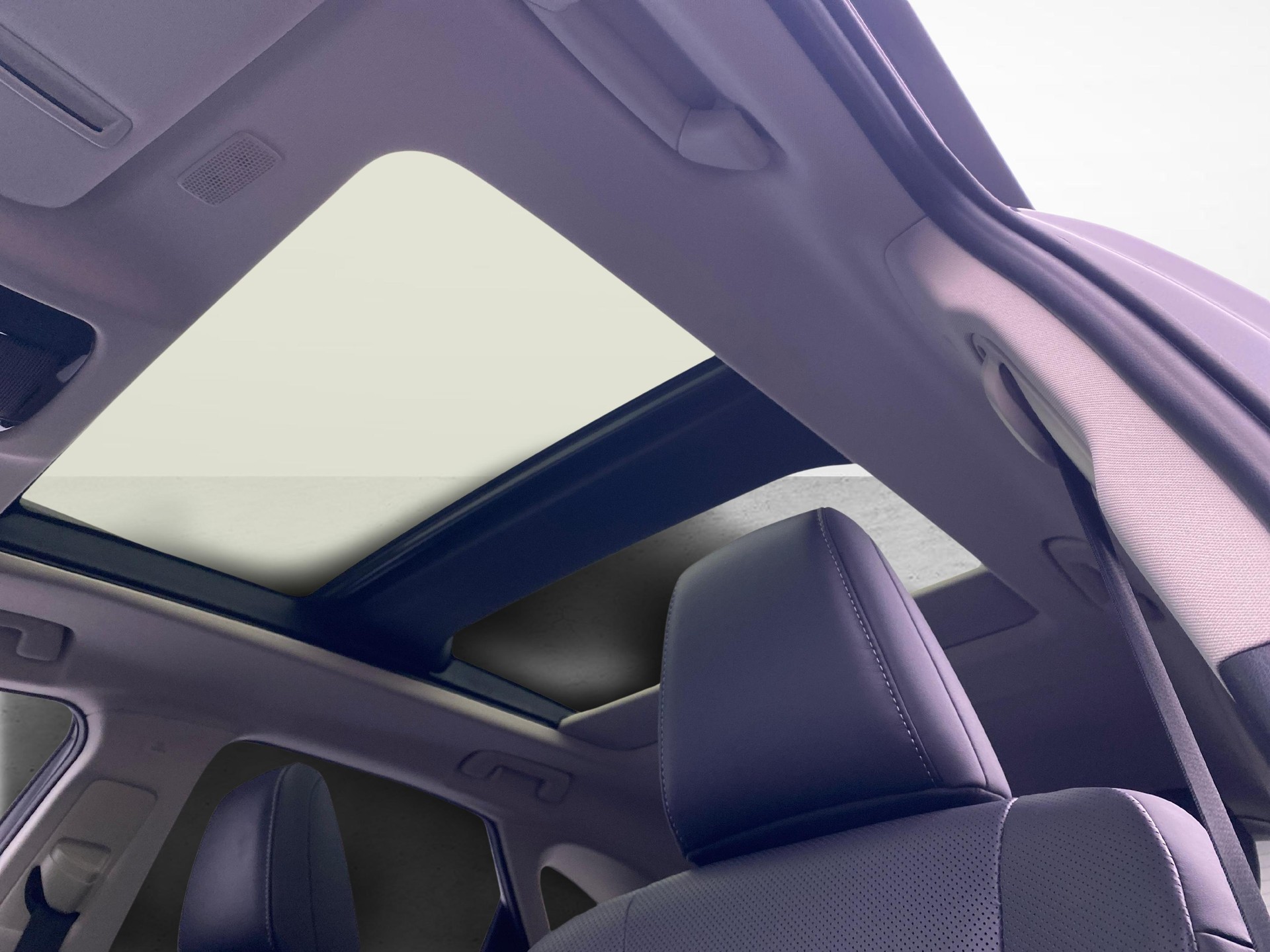 LEXUS NX 450h+ Excellence-image-15