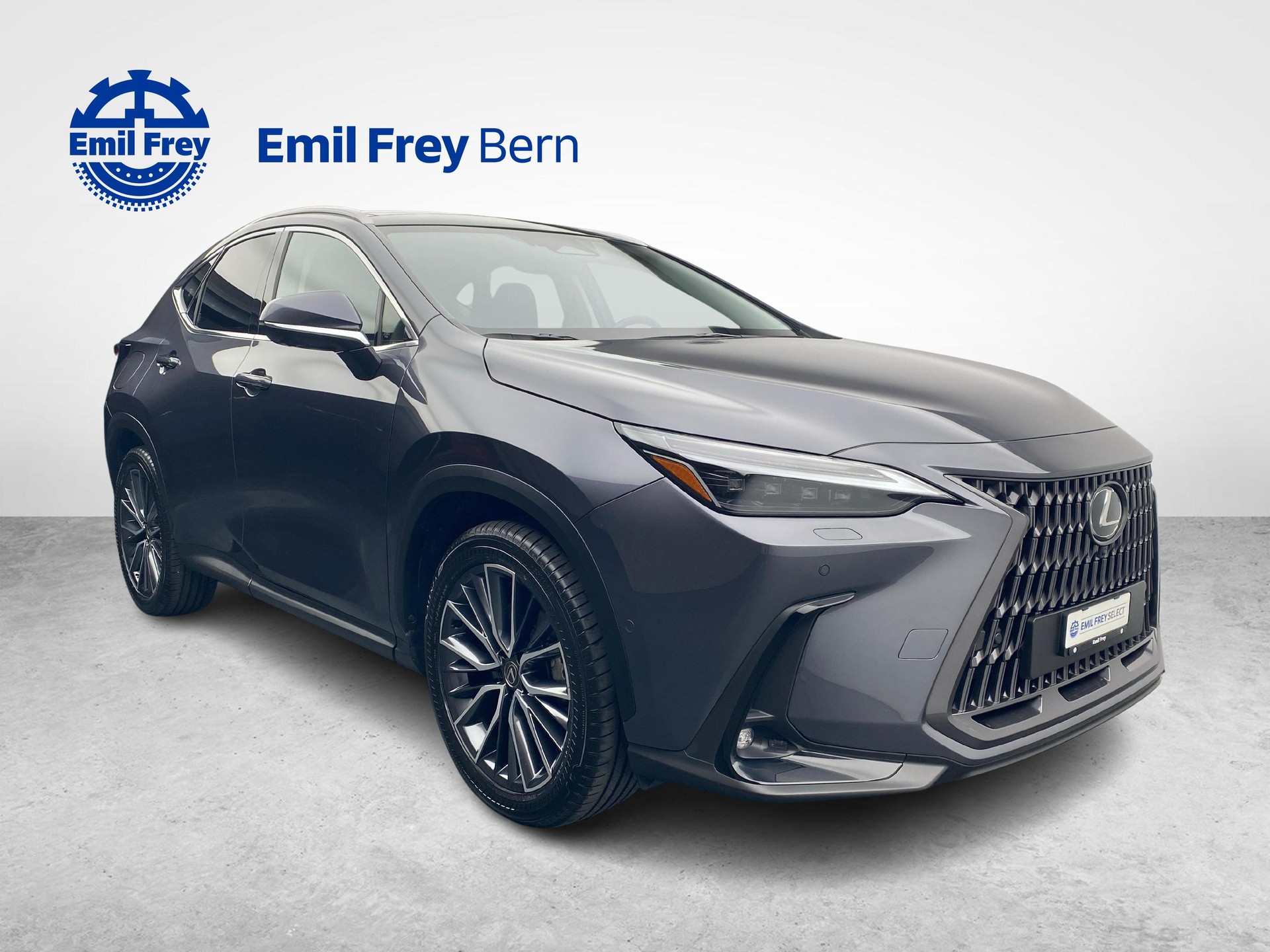 LEXUS NX 450h+ Excellence-image-9