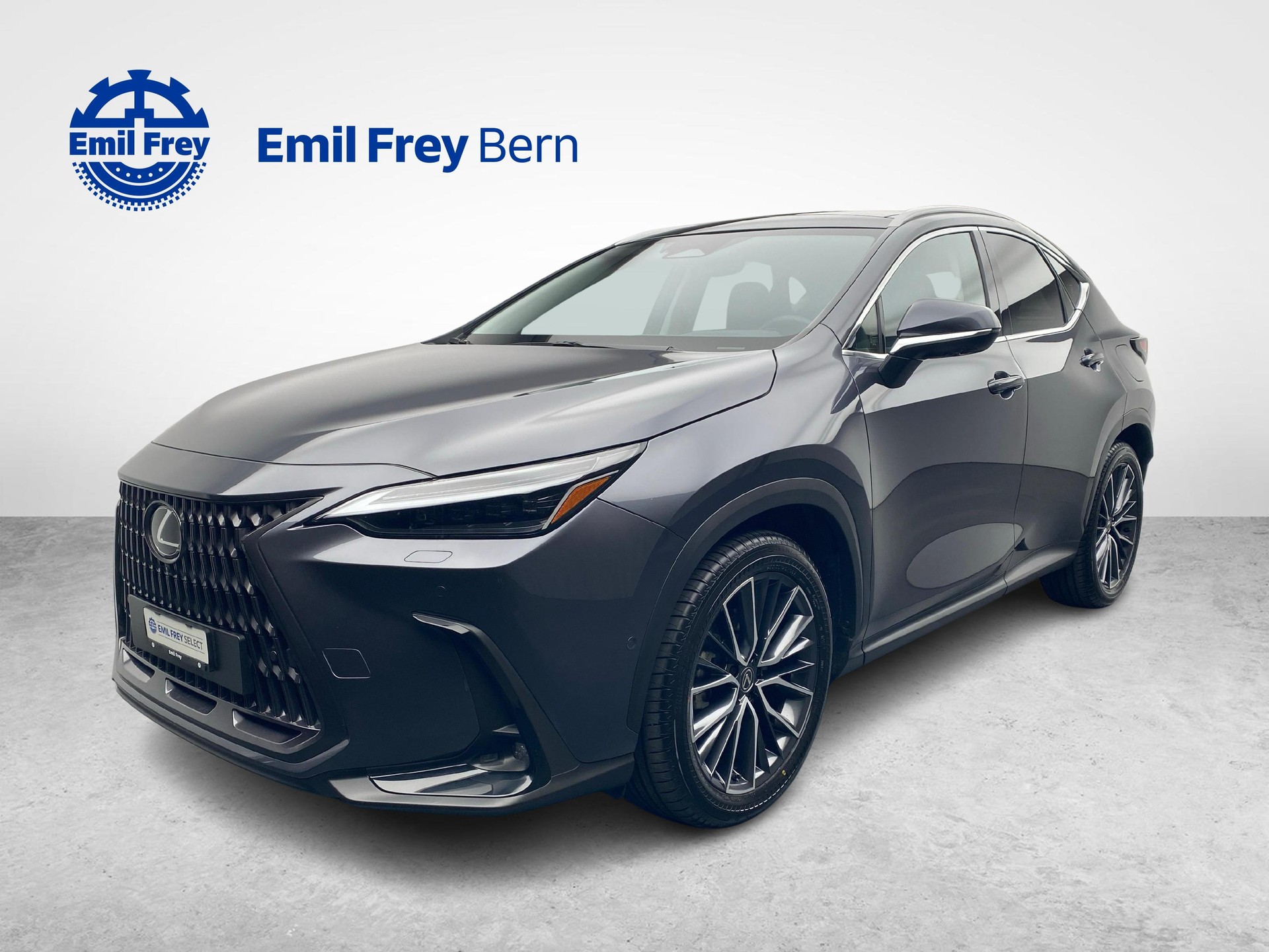 LEXUS NX 450h+ Excellence-image-0