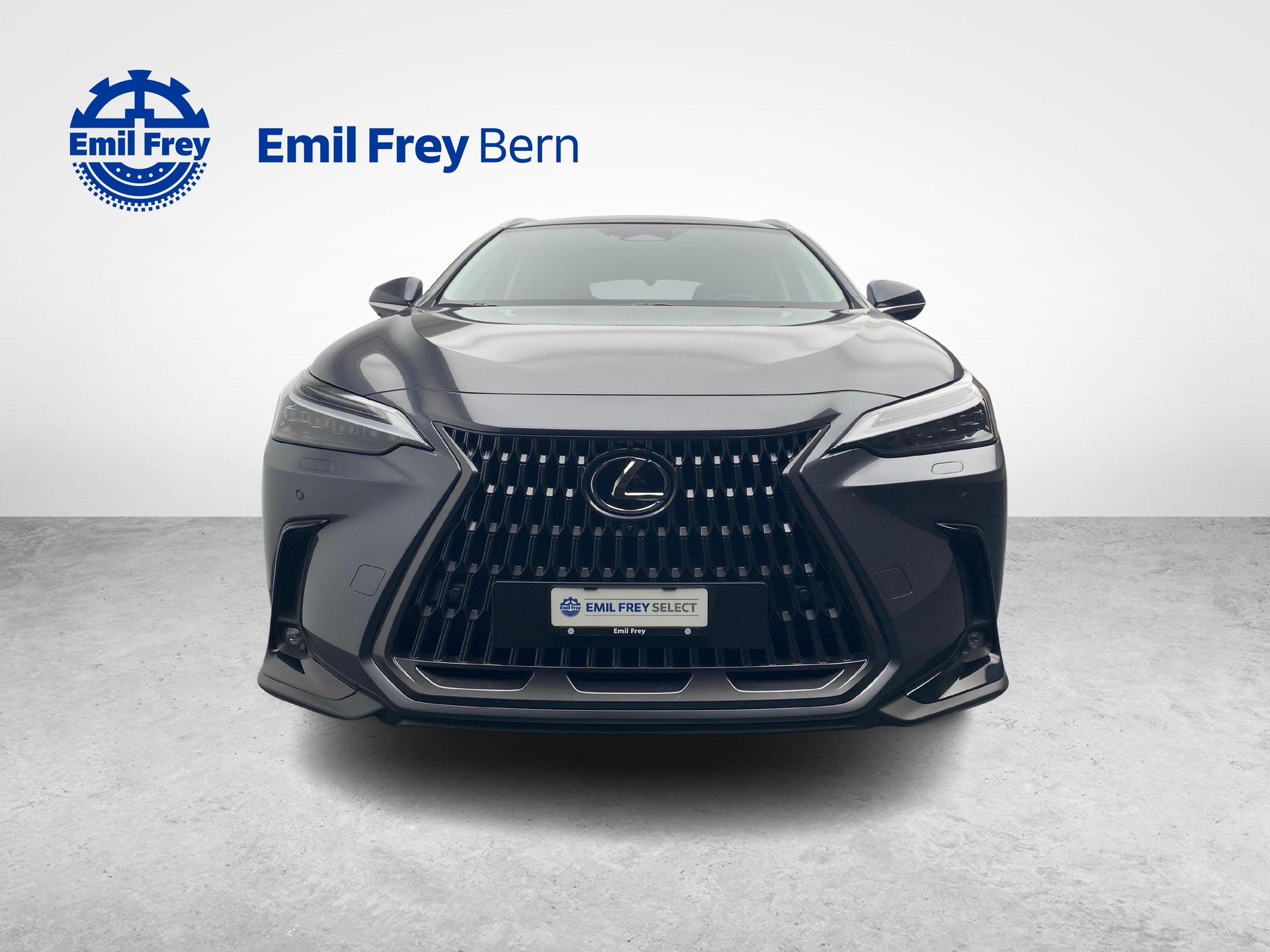 LEXUS NX 450h+ Excellence-image-11
