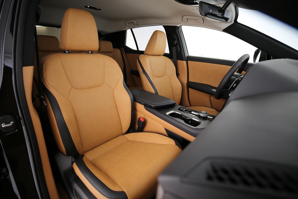 LEXUS RZ 450e Comfort-image-9