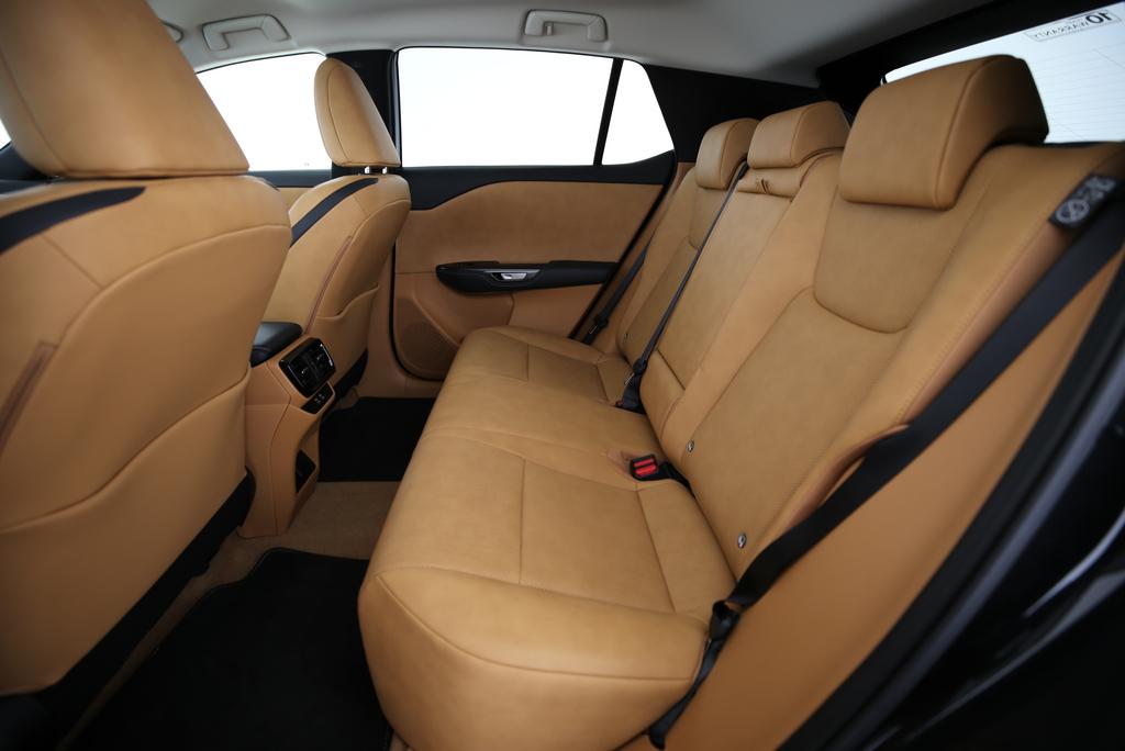 LEXUS RZ 450e Comfort-image-10