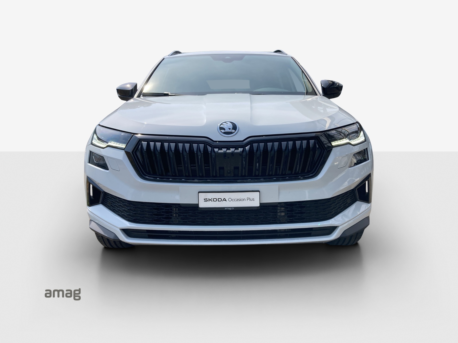 SKODA Karoq 2.0 TSI SportLine 4x4 DSG-image-6
