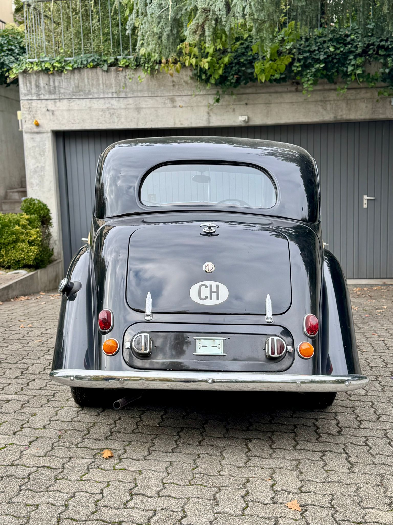 MG Y-image-2