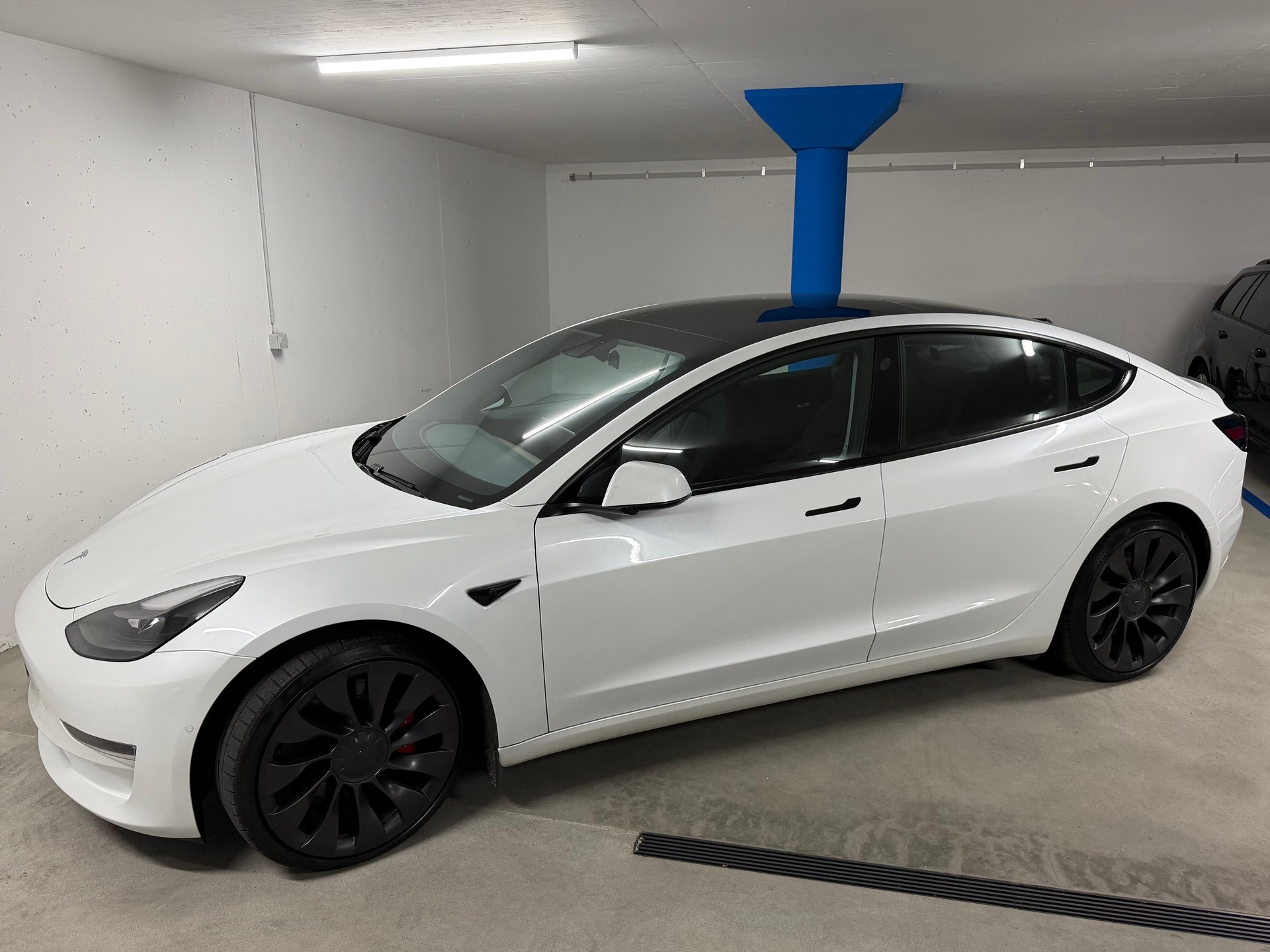 TESLA Performance D-image-0
