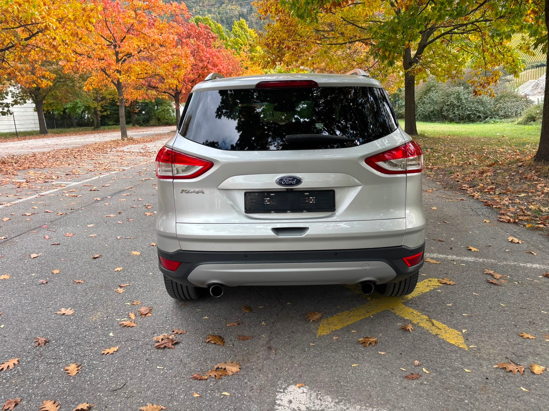 FORD Kuga 1.6 SCTi Carving 4WD Automatic-image-5