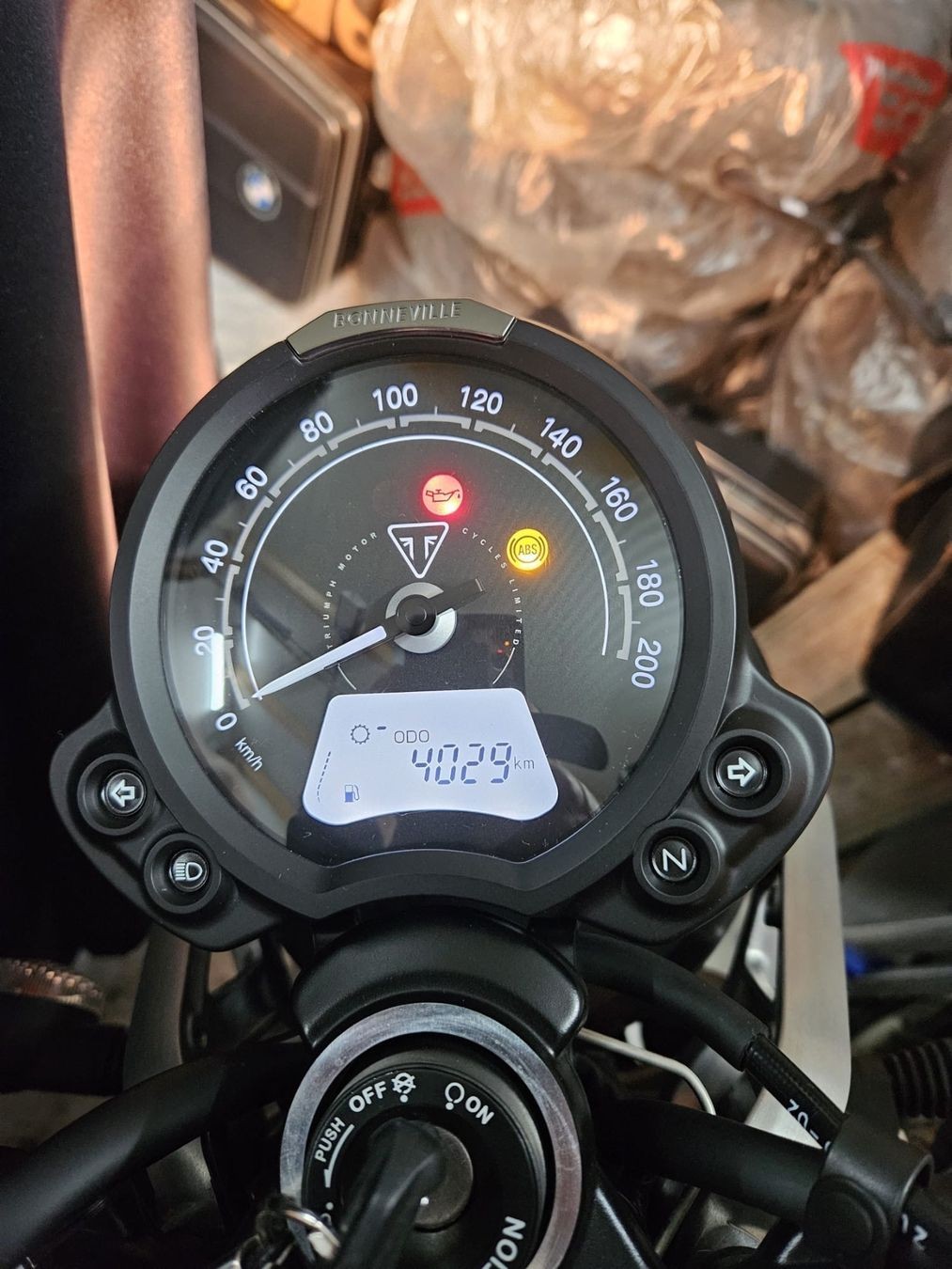 TRIUMPH Street Twin 900 Gold Line-image-6
