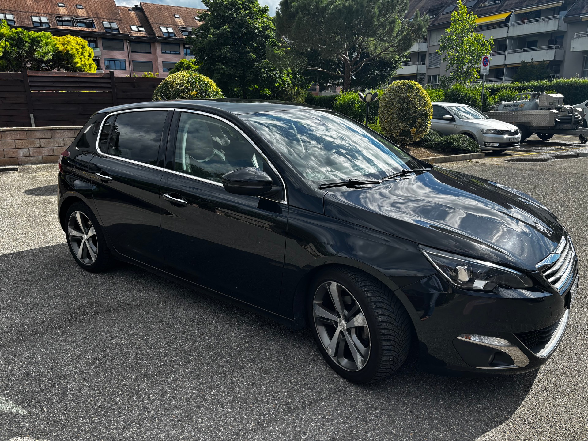 PEUGEOT Feline-image-3